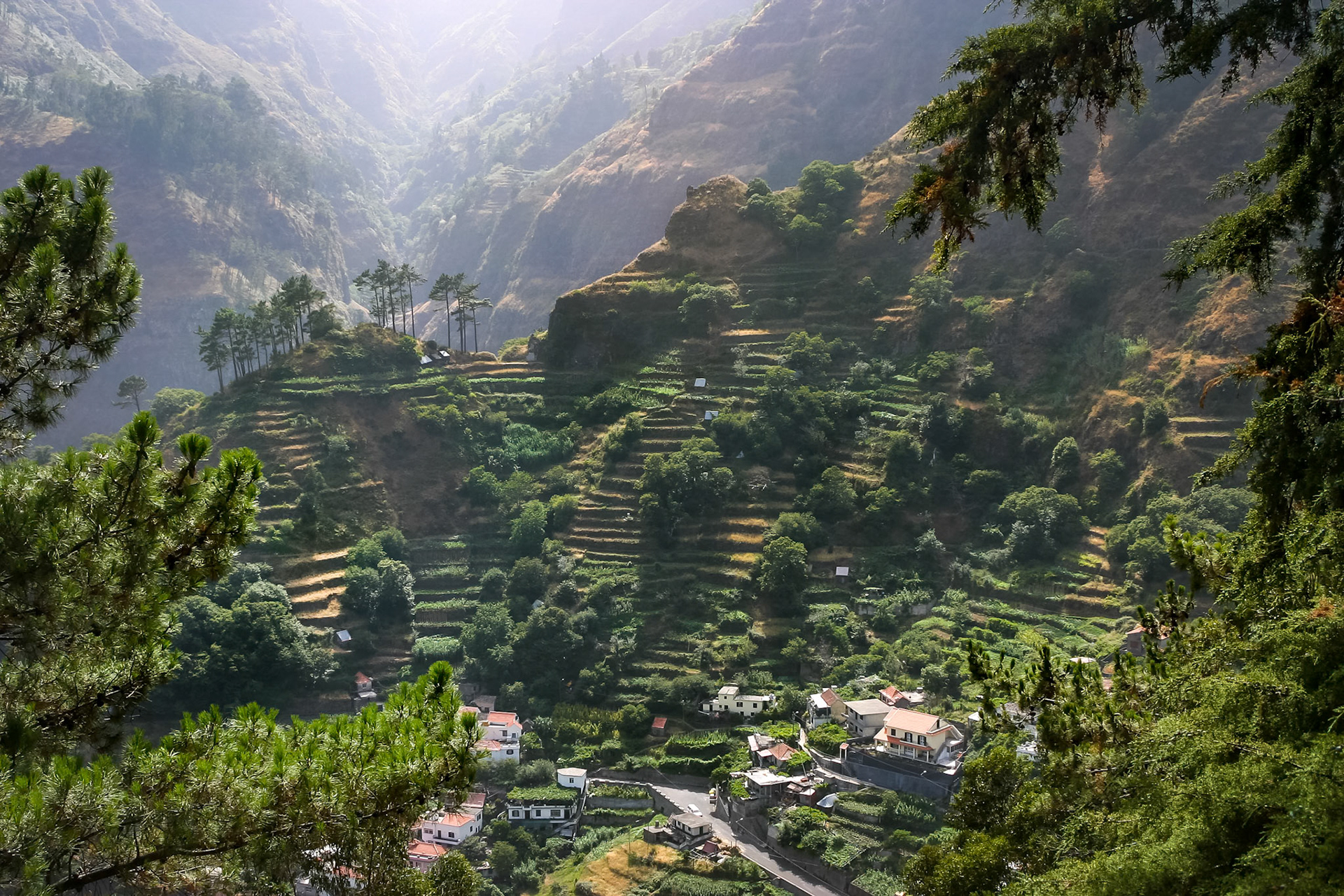 Madeira Terraces