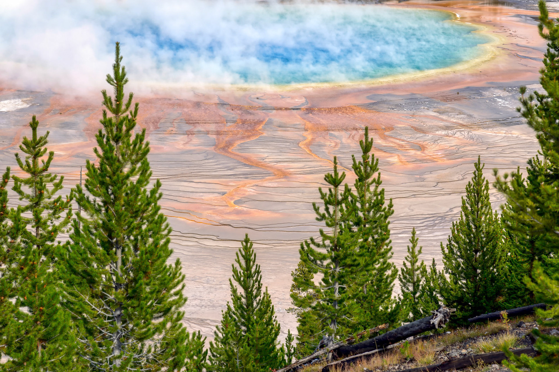 View of the Grand Prismatic Spring