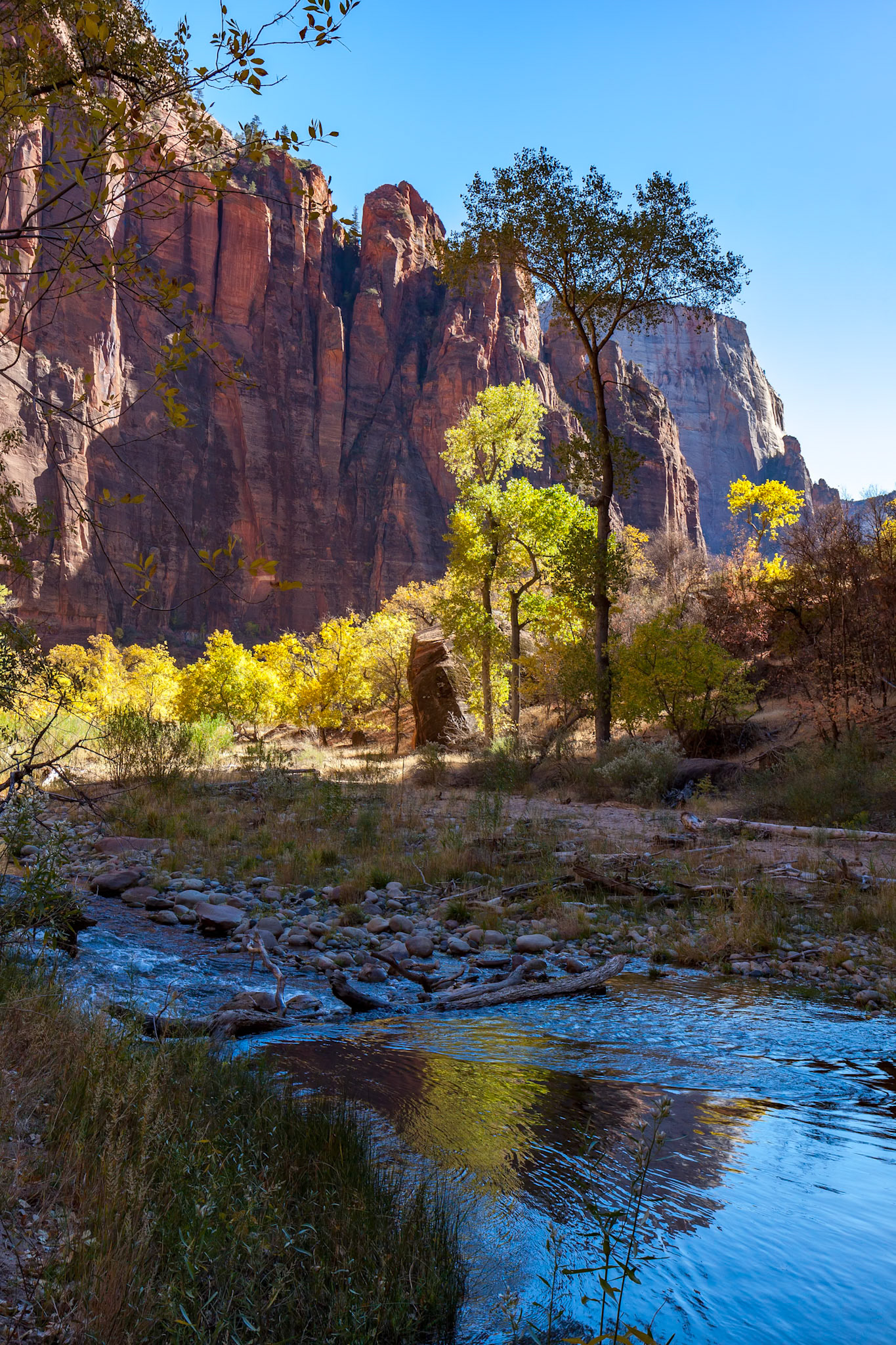 Reflection in the Virgin River