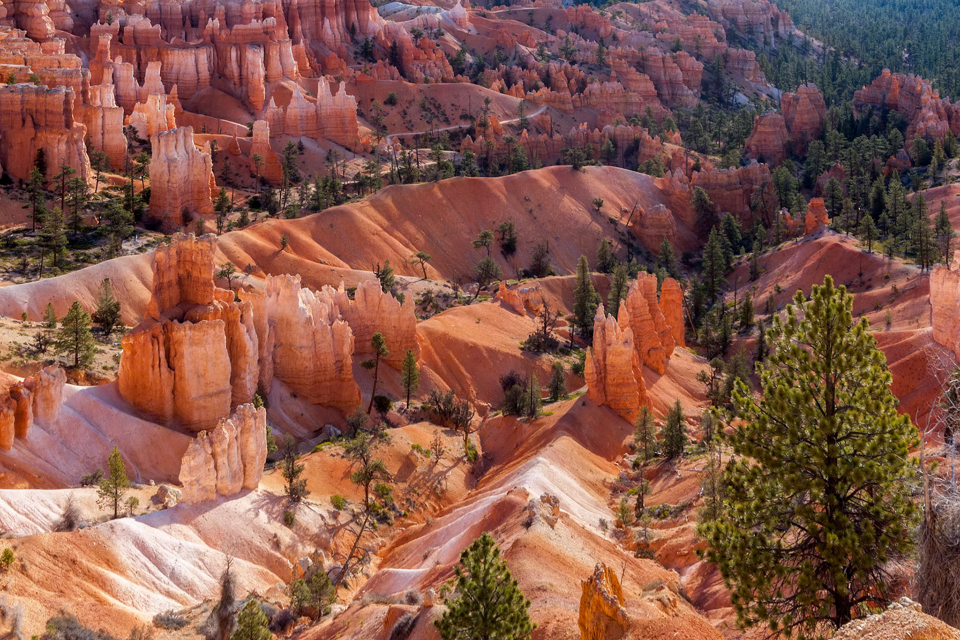Scenic view of Bryce Canyon Southern Utah USA