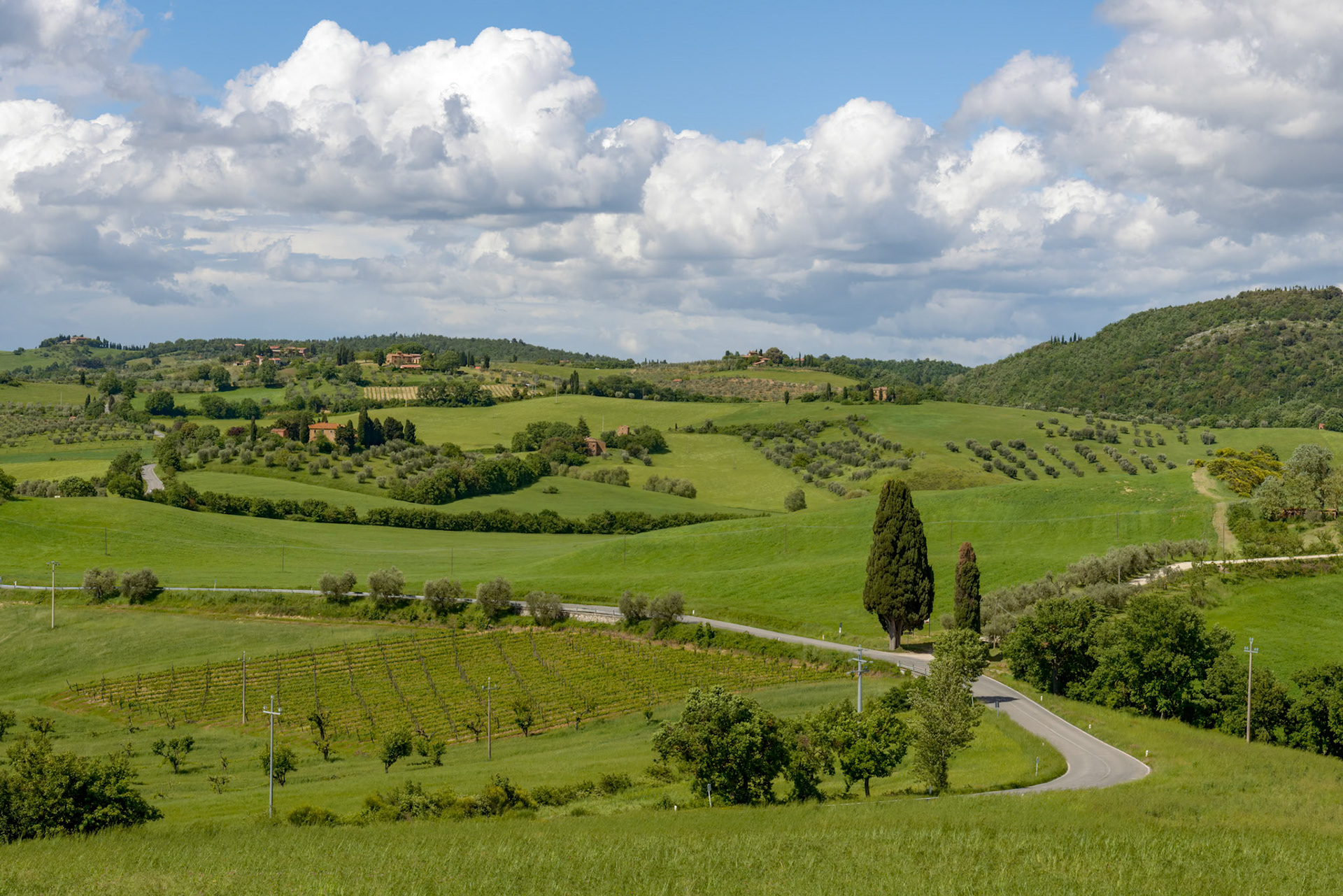 Countryside of Val d'Orcia in Tuscany