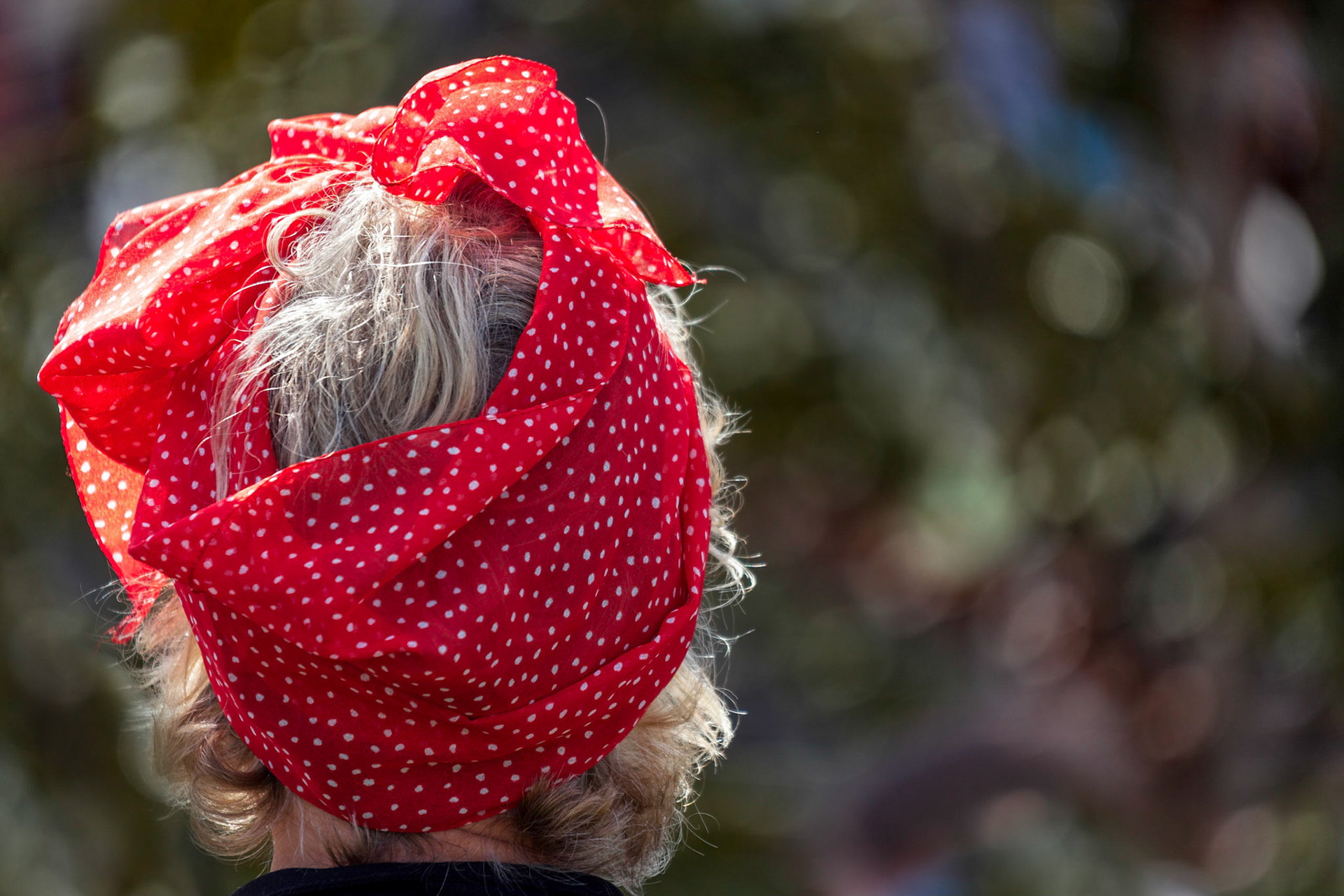 Lady Wearing a Polkadot Silk Scarf