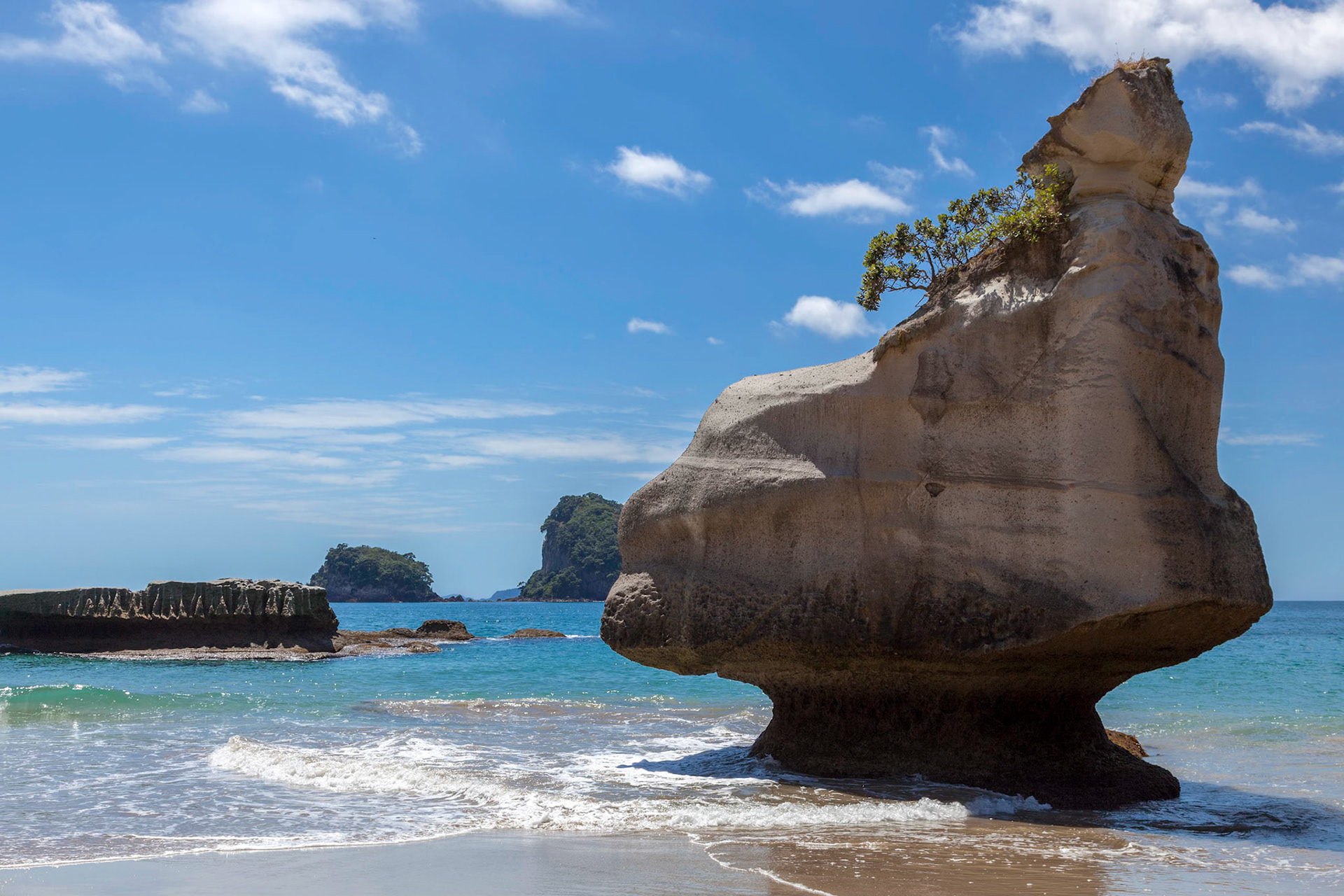 Unusual rock formation at Cathedral Cove Coromandel Peninsula New Zealand