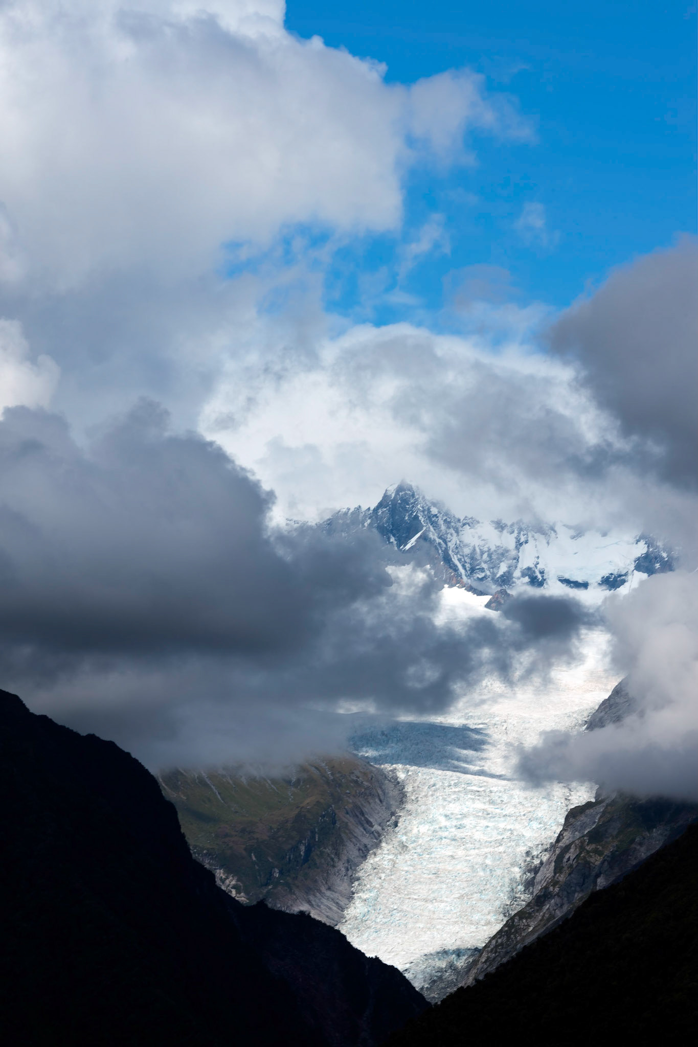 Fox Glacier