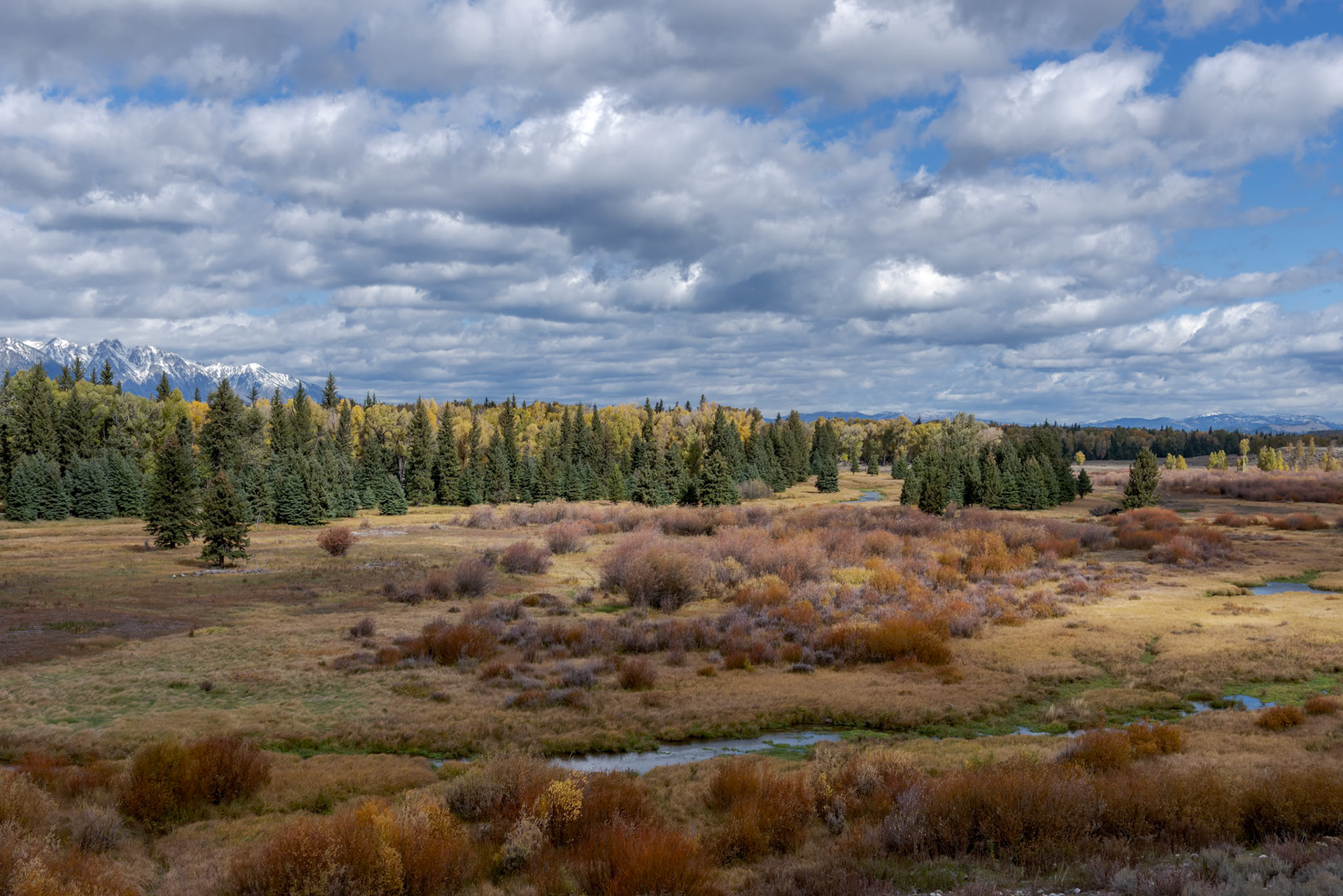 Scenic view of the Grand Teton National Park