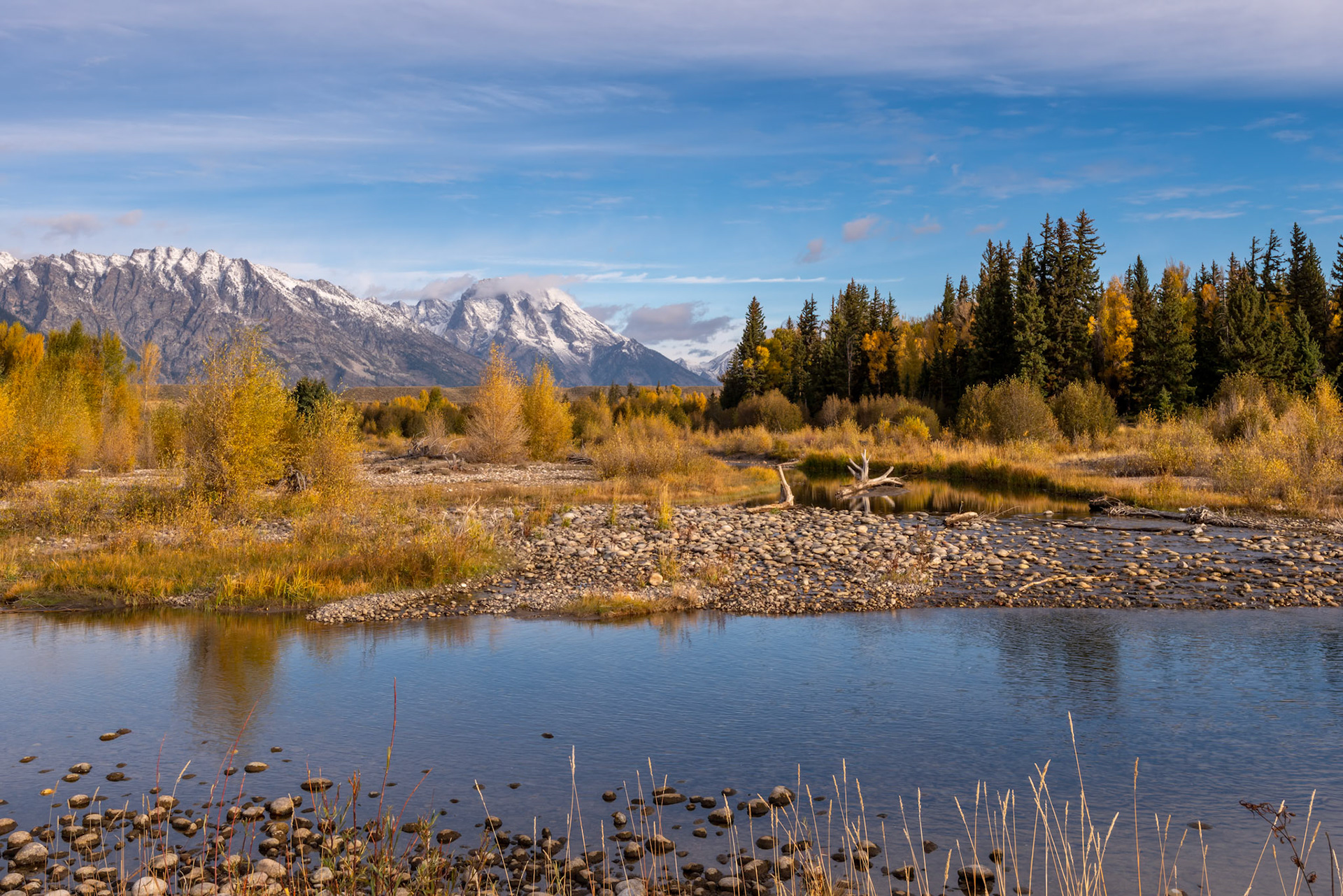 Autumnal Colours in the Grand Teton National Park