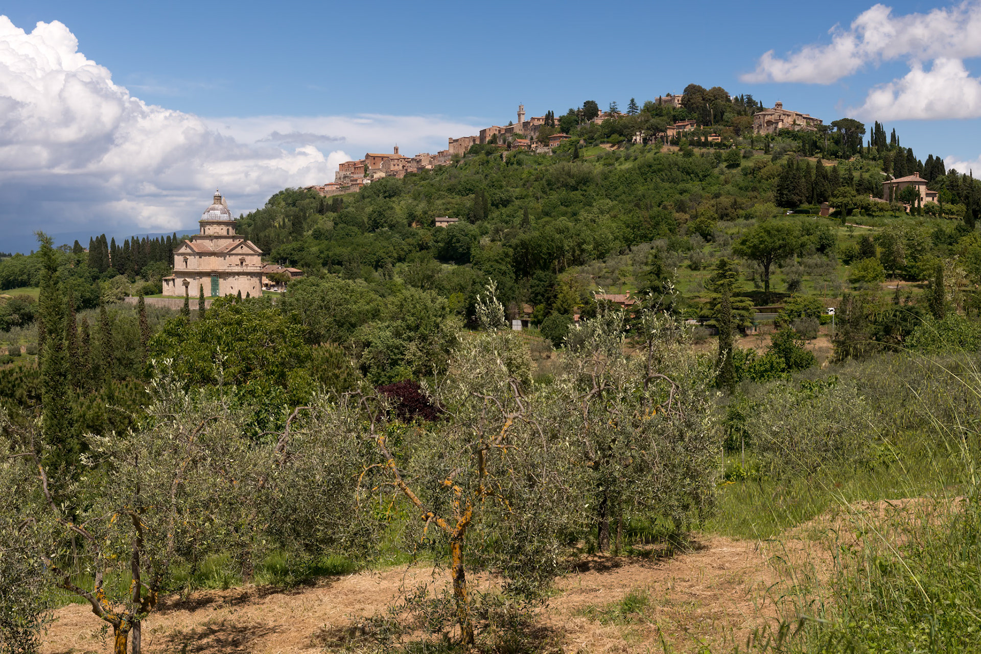 MONTEPULCIANO, TUSCANY, ITALY - MAY 17 : View of San Biagio church near Montepulciano, Tuscany on May 17, 2013