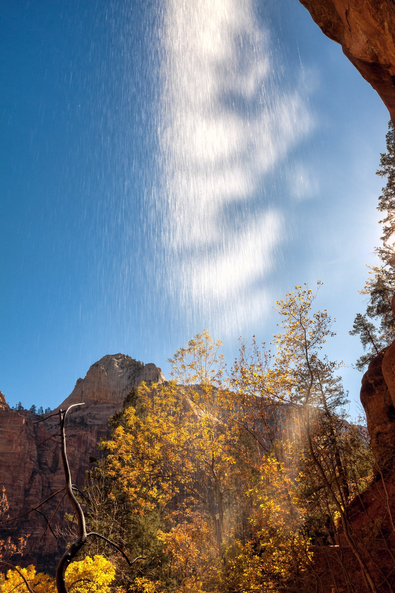 November in Zion