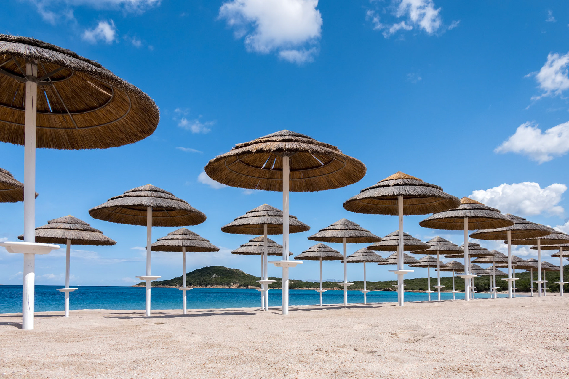 Parasols at Liscia Ruja Beach in Sardinia