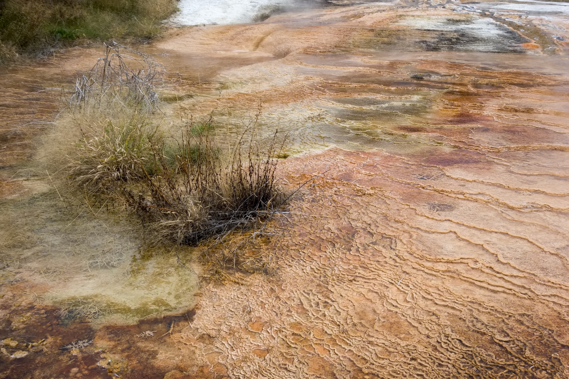 Mammoth Hot Springs in Wyoming