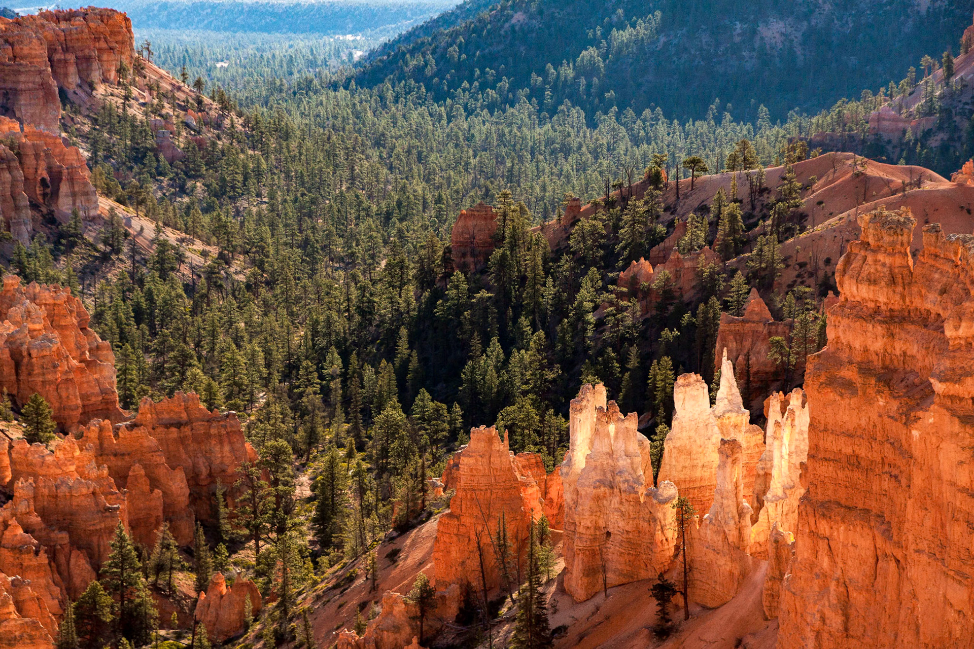Scenic View into Bryce Canyon
