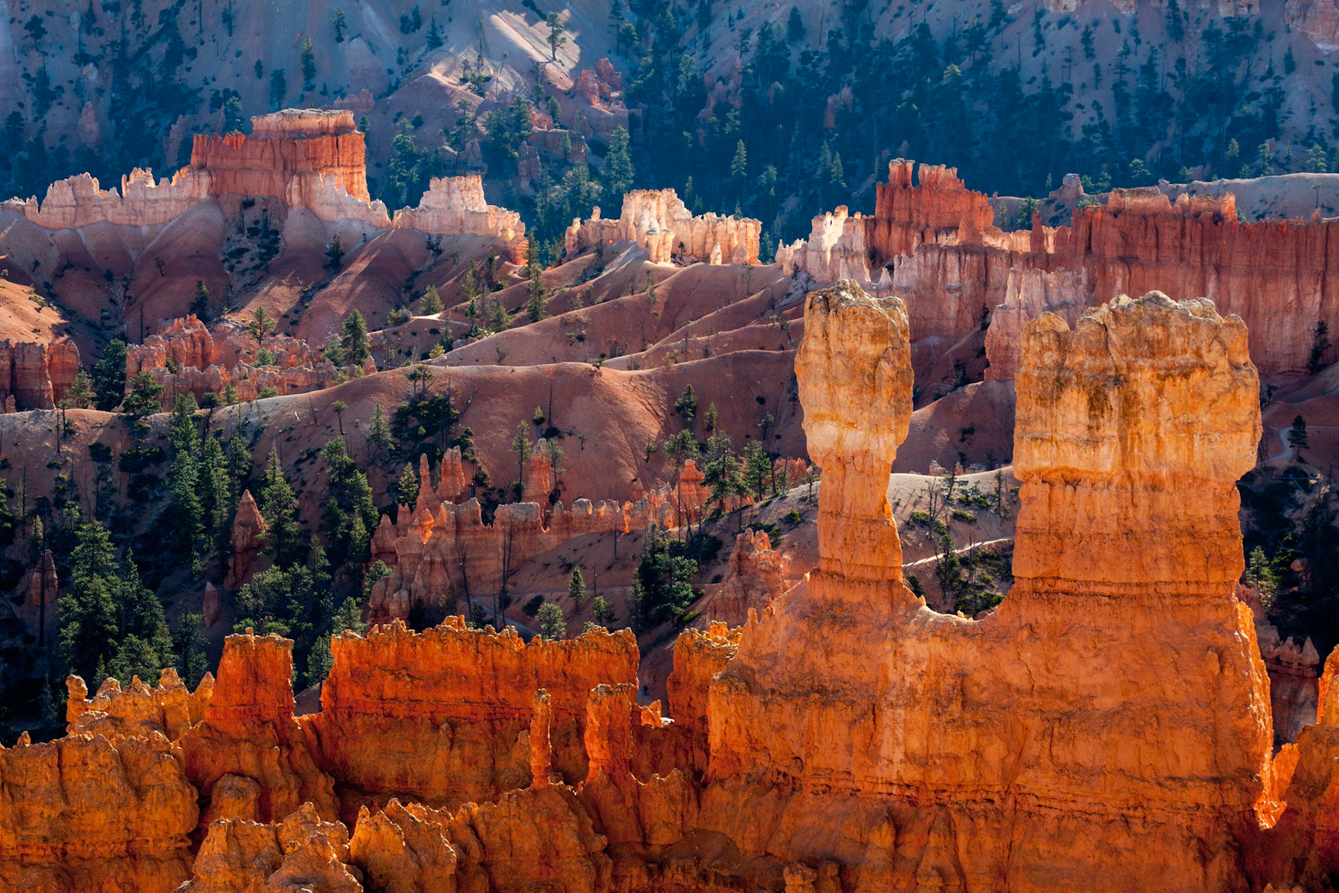 Scenic View of Bryce Canyon