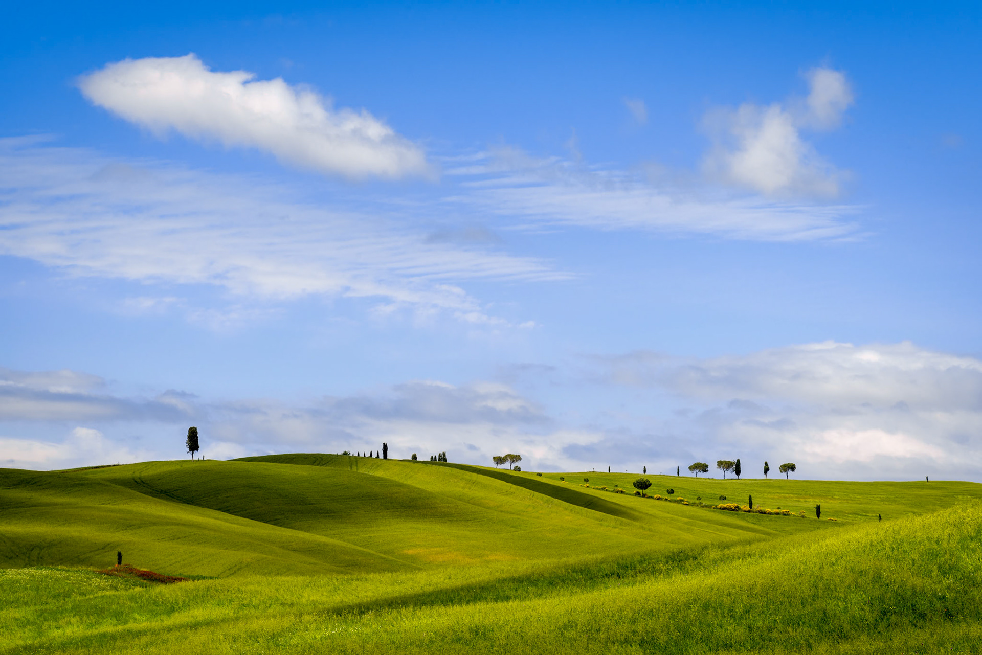 View of the Scenic Tuscan Countryside