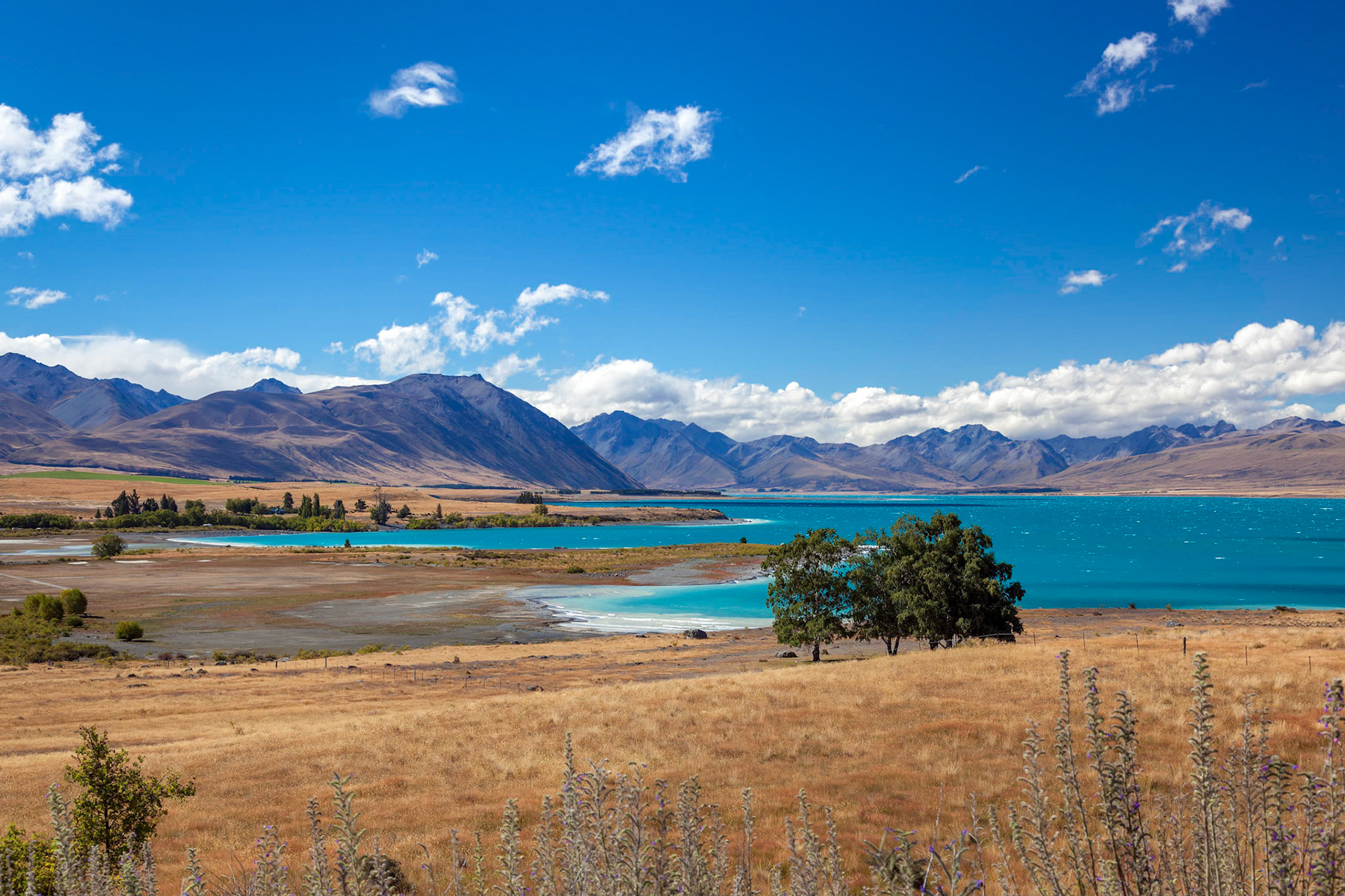Distant View of Lake Tekapo on a Summer's Day