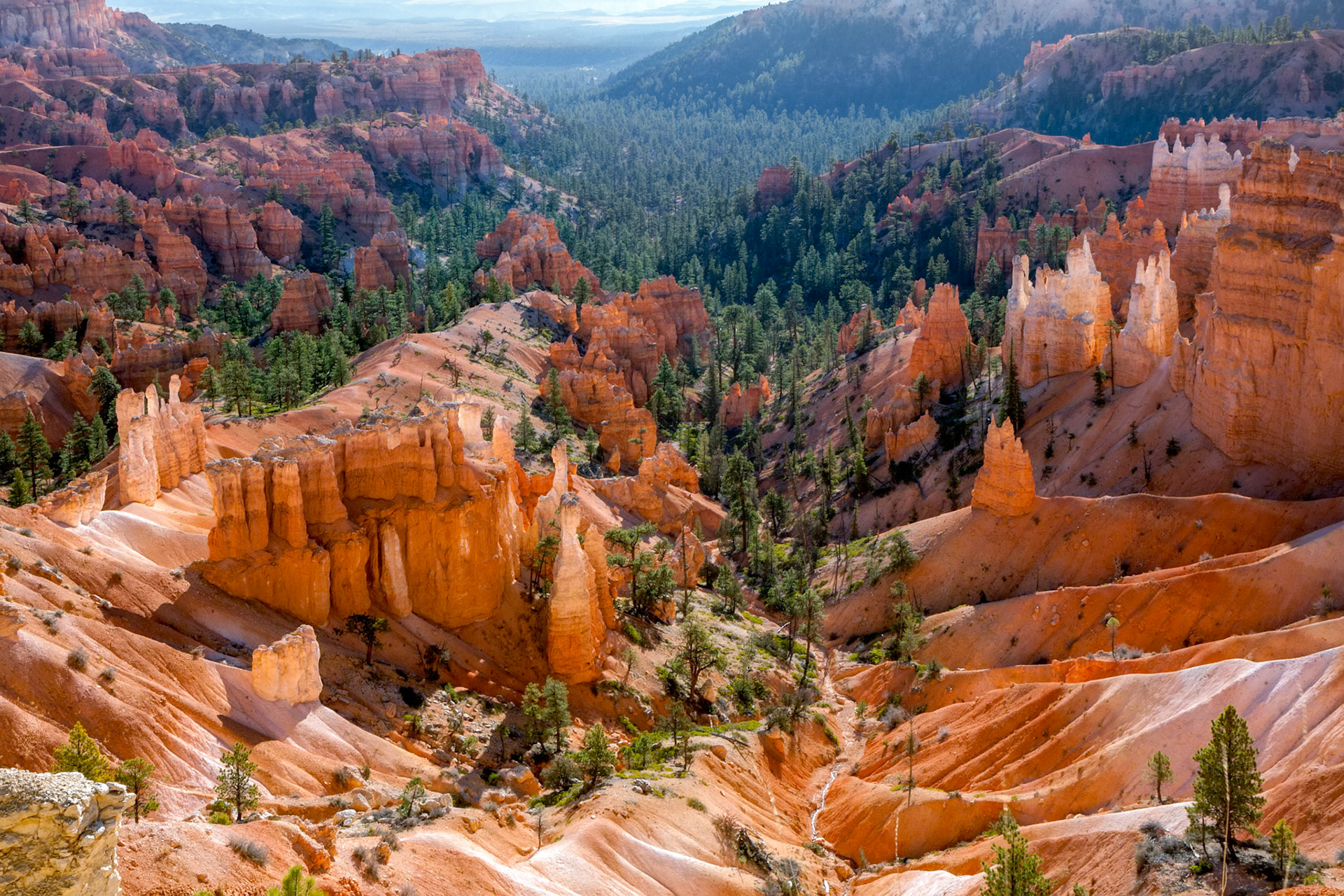 Scenic View of Bryce Canyon