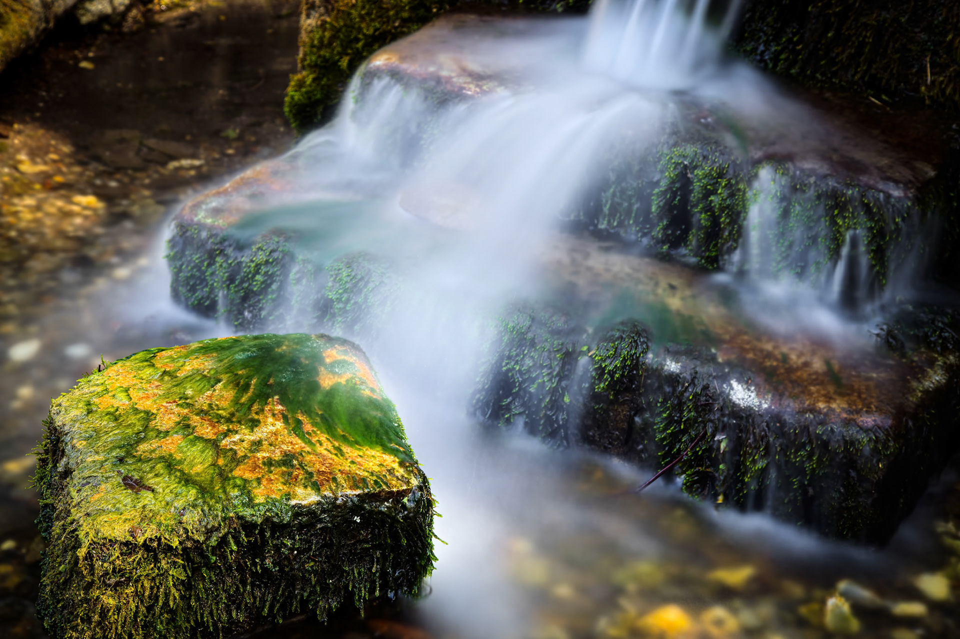 Tiny Waterfall in Sussex