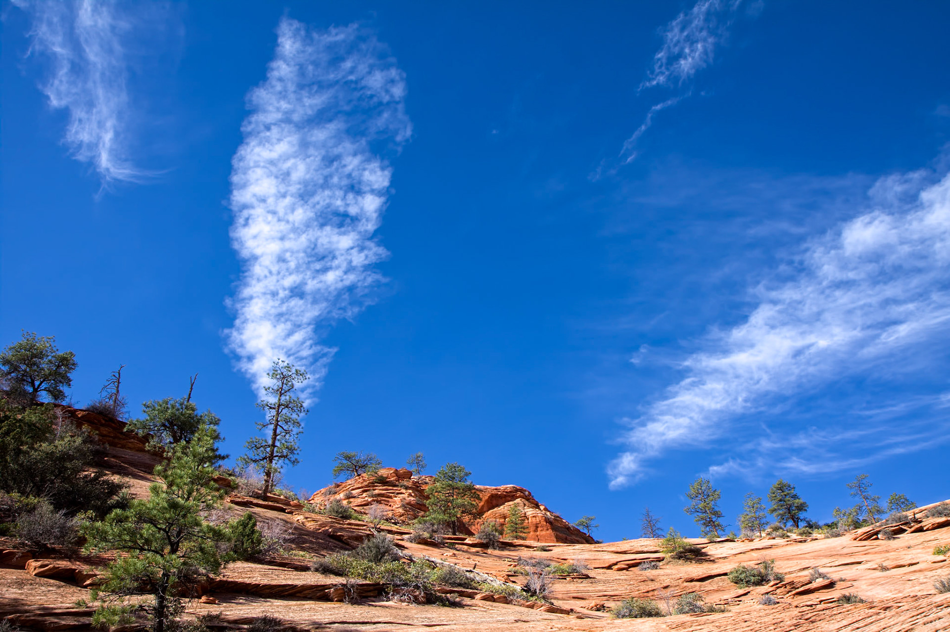 Vertical Cloudscape in Zion