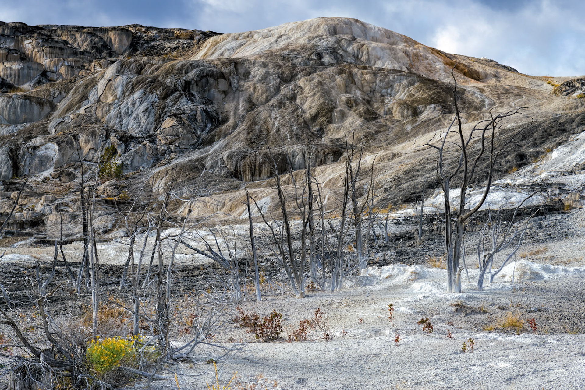 Mammoth Hot Springs