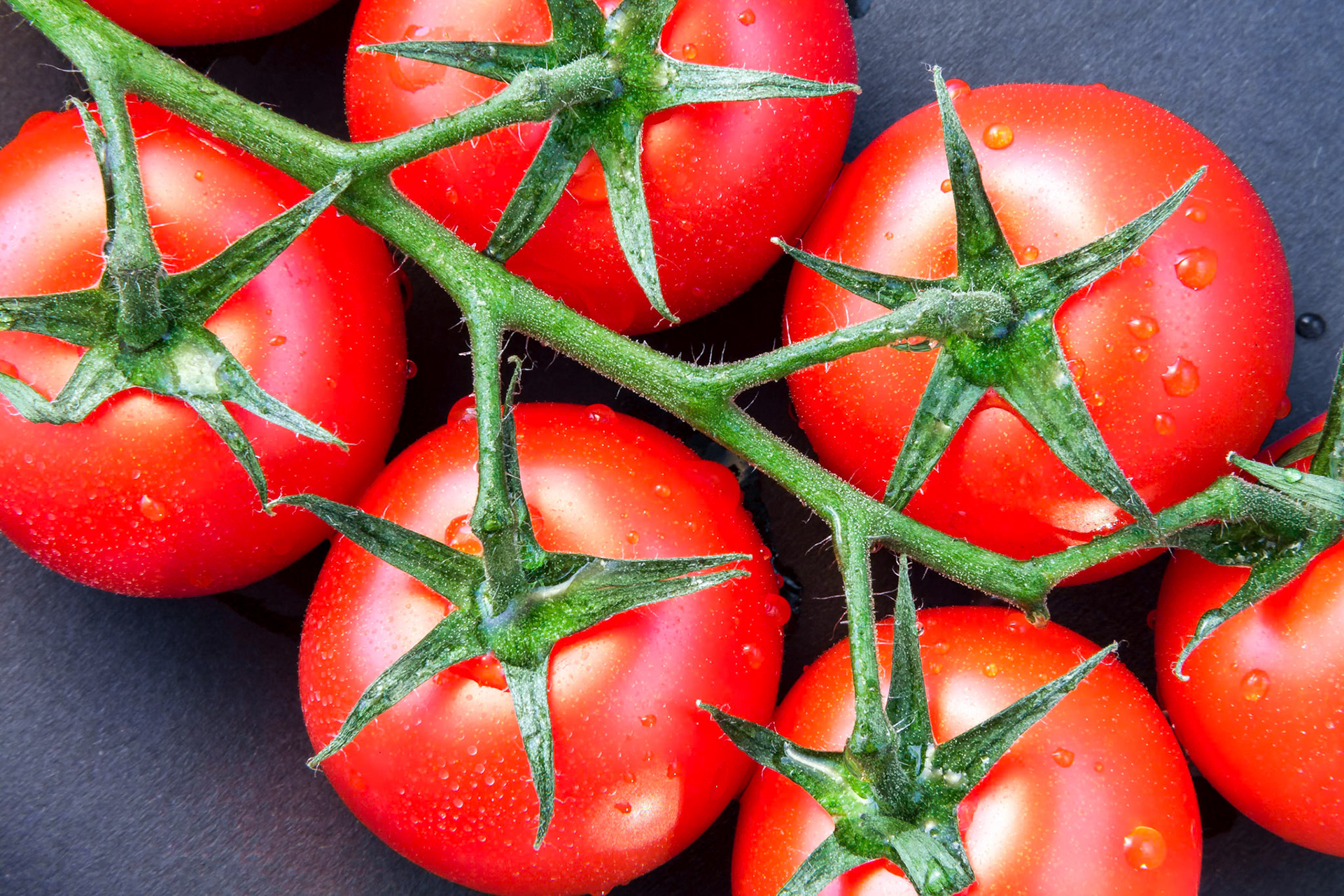 Close-up of Some Ripe Tomatoes on the Vine