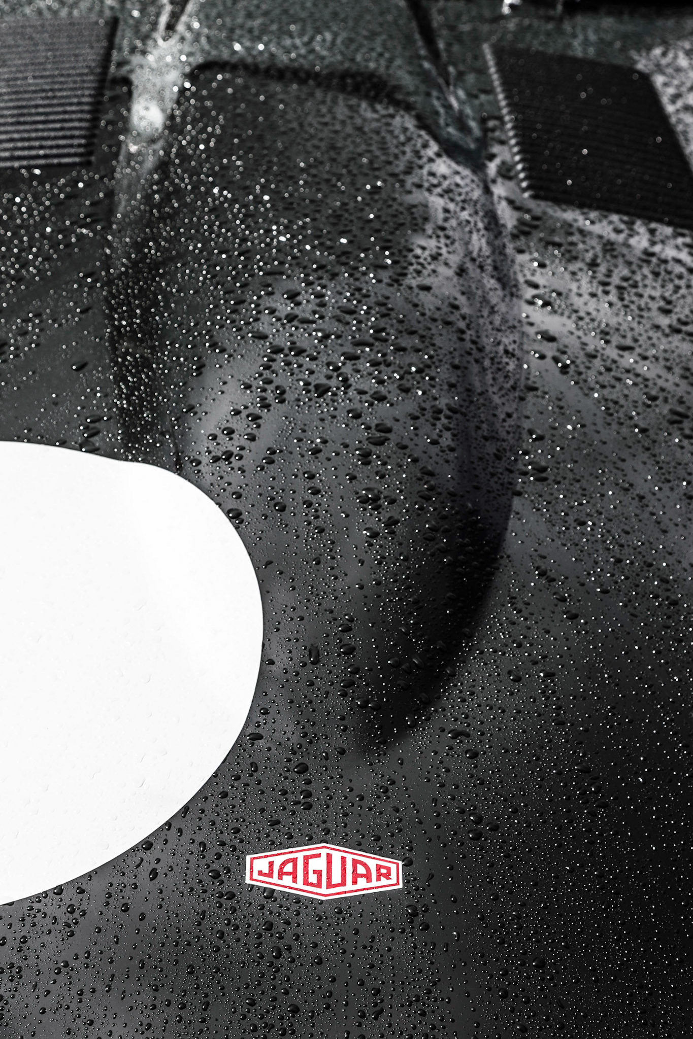 Raindrops Beading on a Jaguar's Bonnet at Goodwood