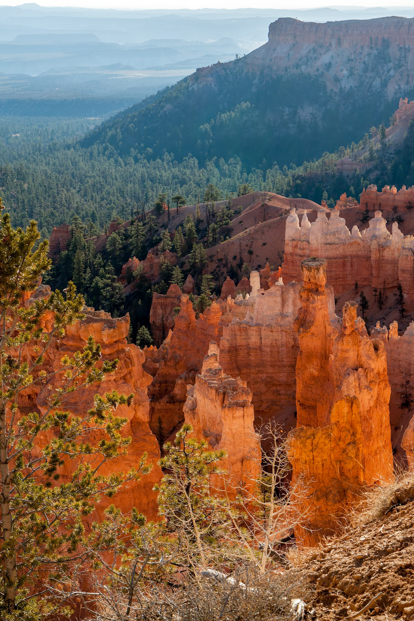 Scenic View of Bryce Canyon Southern Utah USA