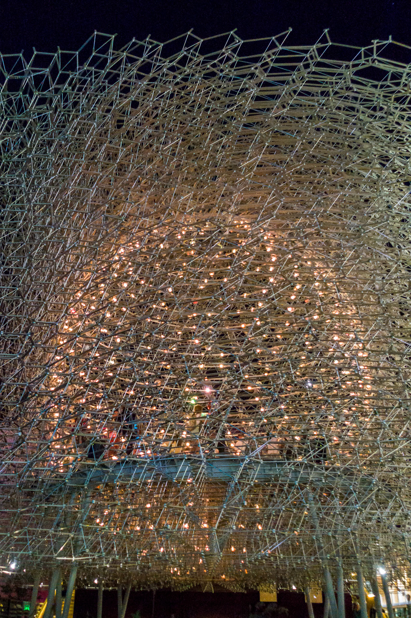 The Hive Exhibit at Expo in Milan Italy