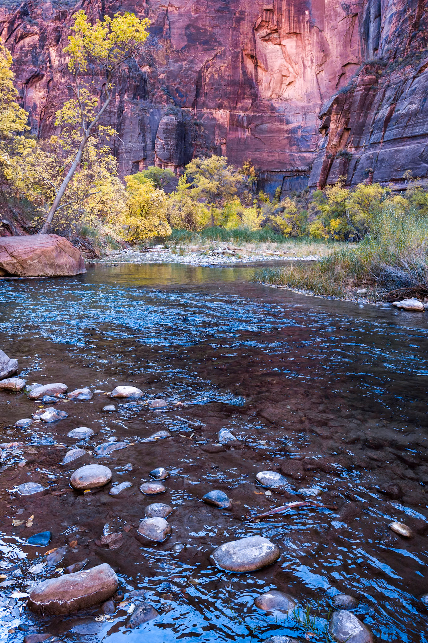 The Virgin River lazily winds it's way through Zion National Park