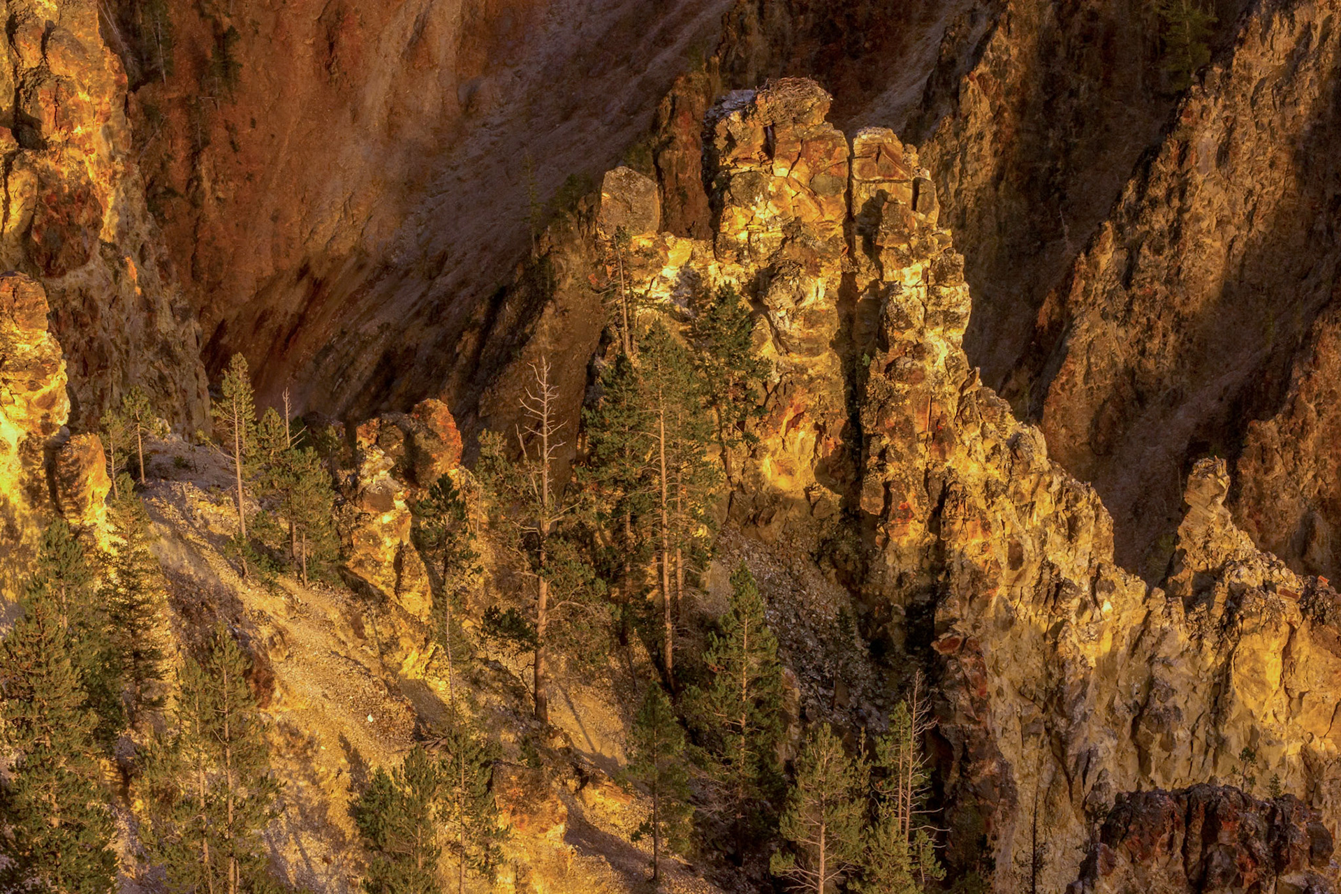 Grand Canyon of Yellowstone