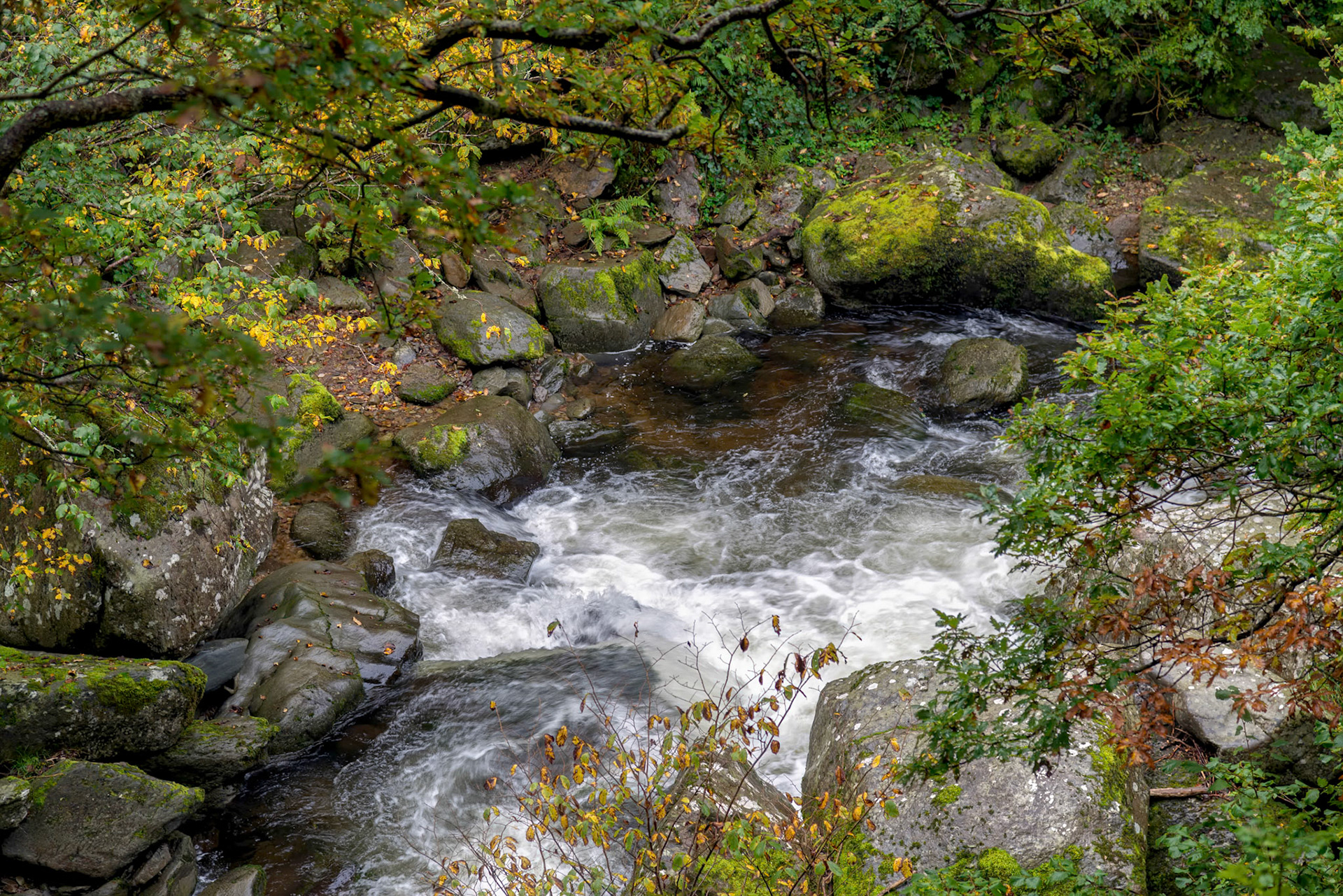 View of the East Lyn River