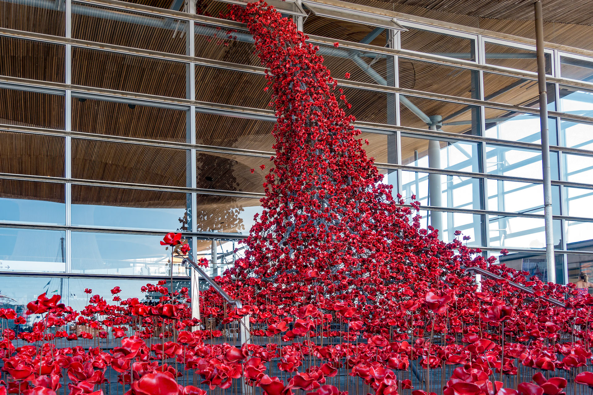 CARDIFF/UK - AUGUST 27 : Poppies Pouring out of the Welsh Assembly Building in Cardiff on August 27, 2017