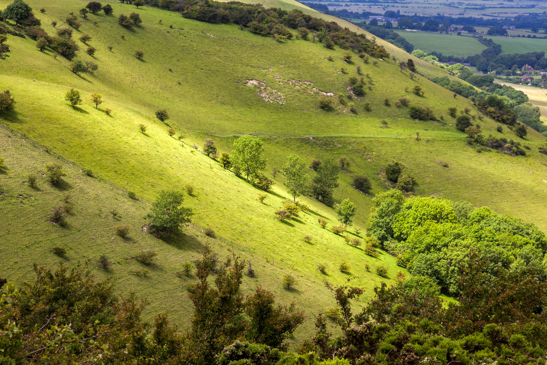Rolling Sussex Countryside