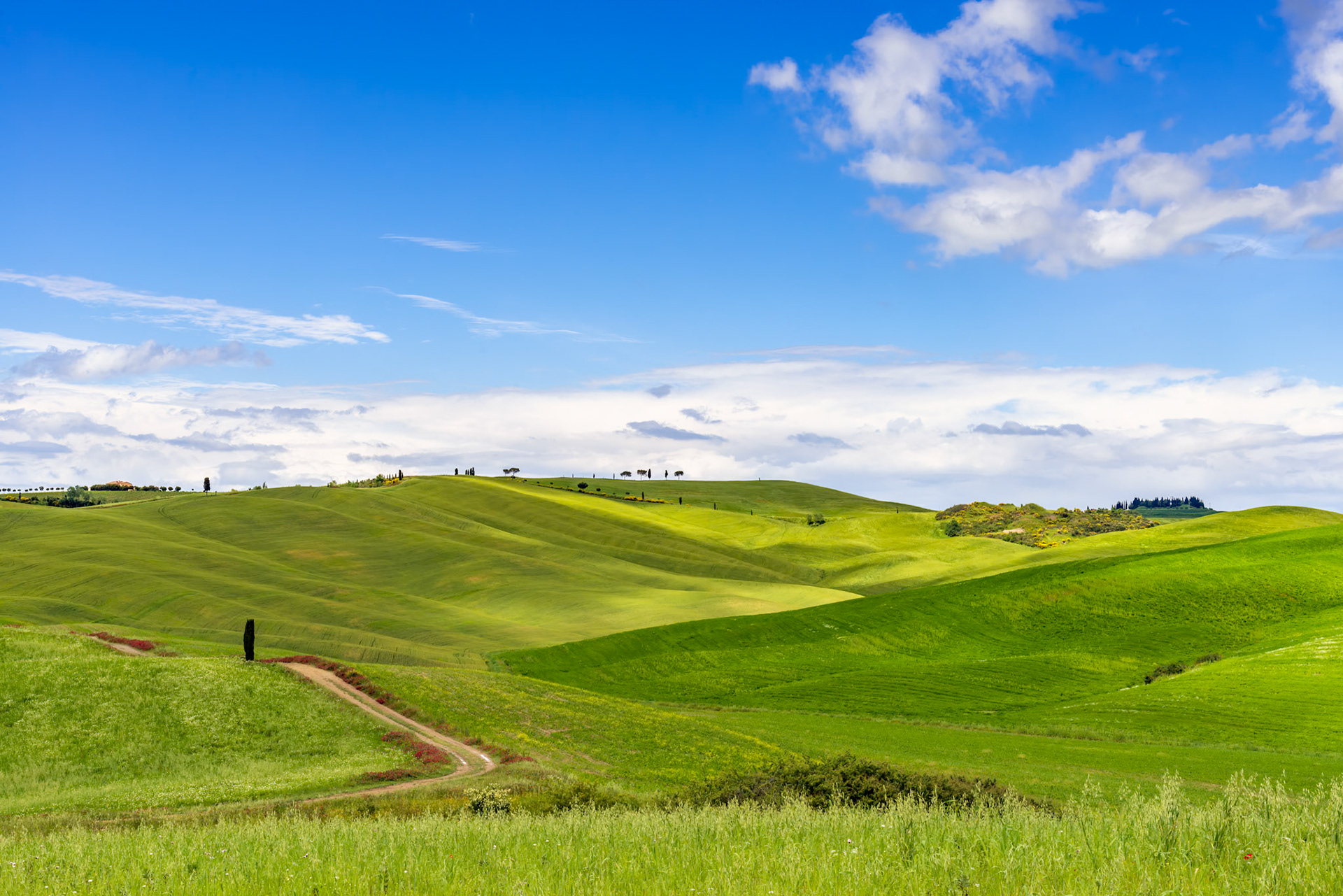 View of the scenic Tuscan countryside