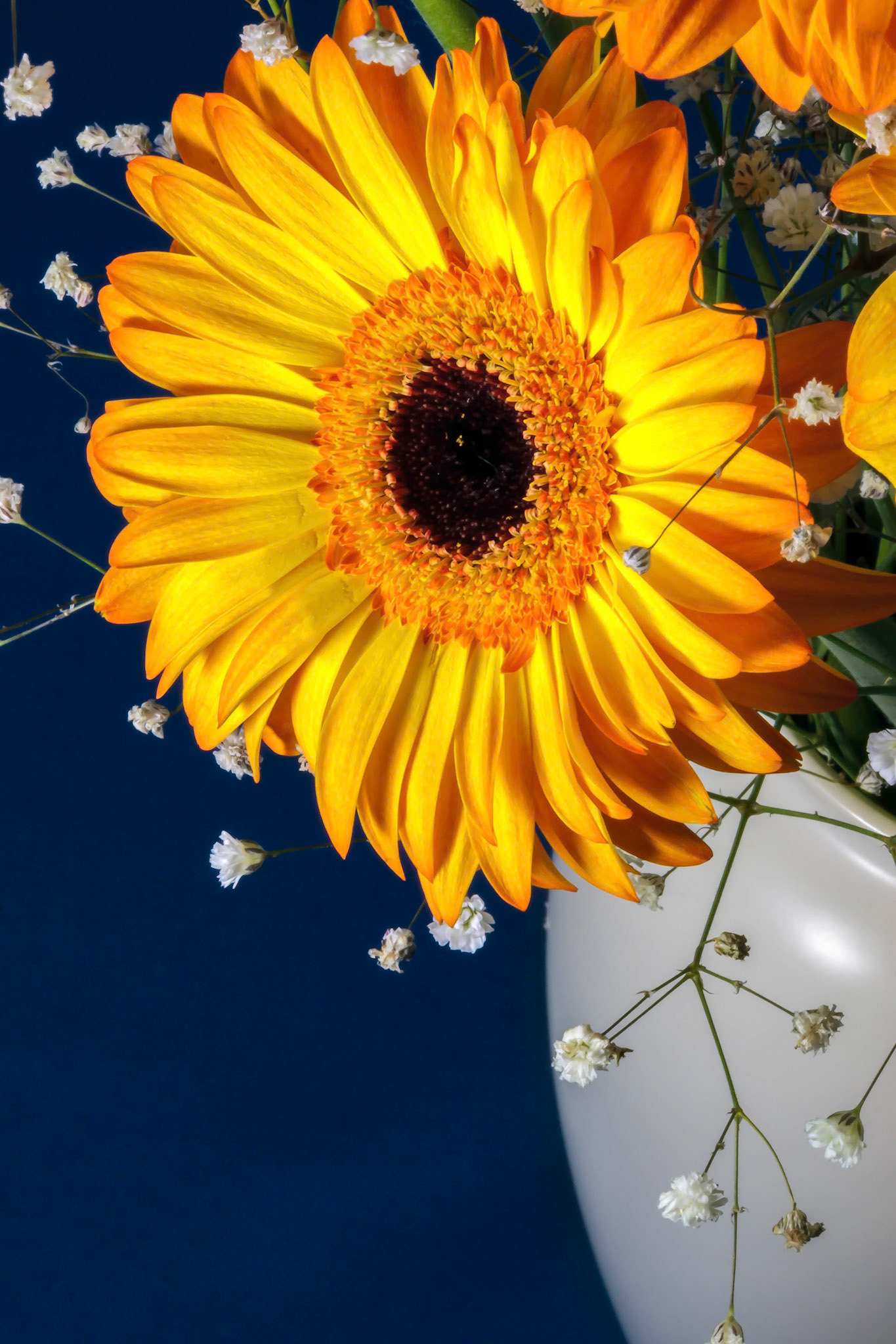 Gerbera in a Vase