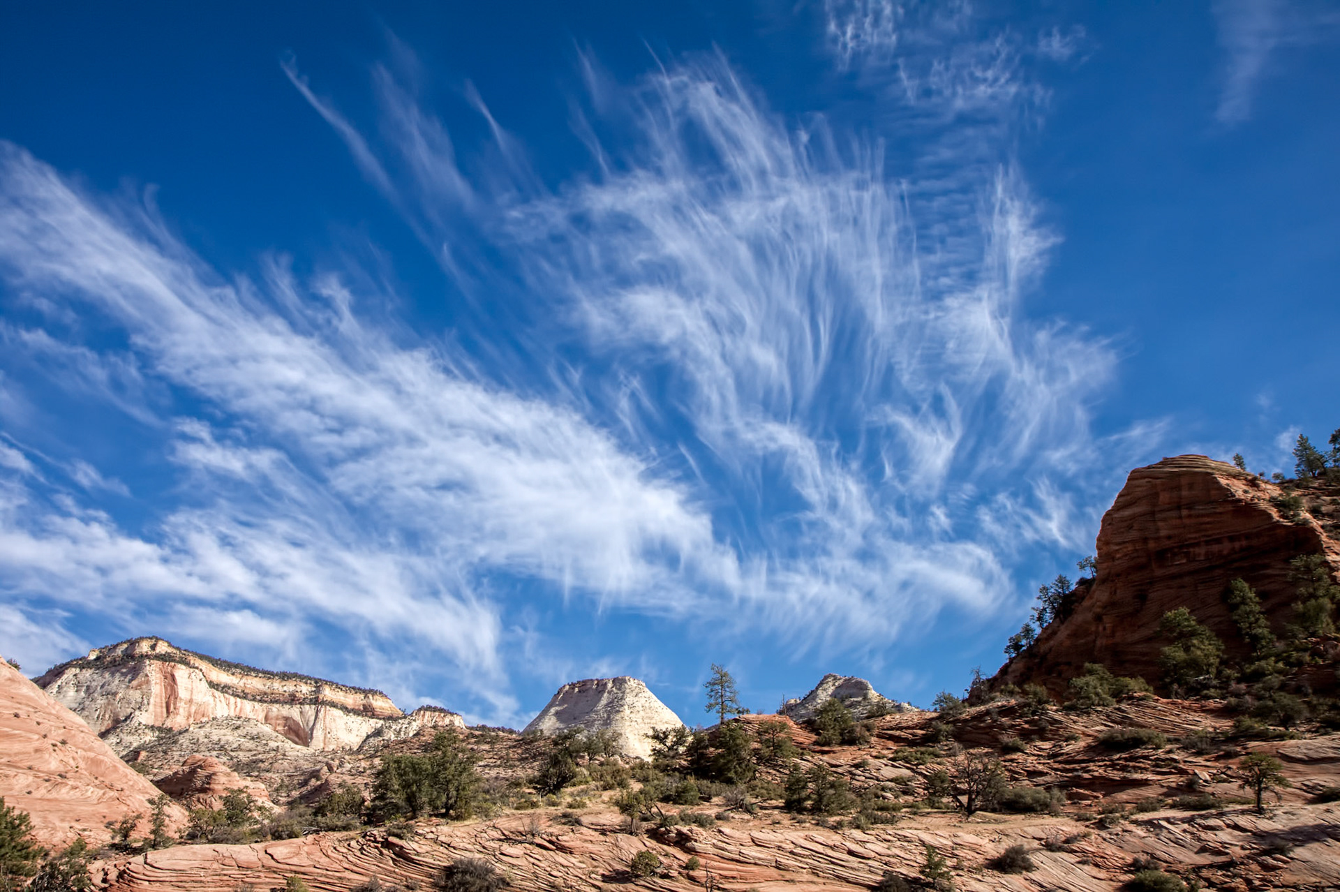 Zion National Park Landscape