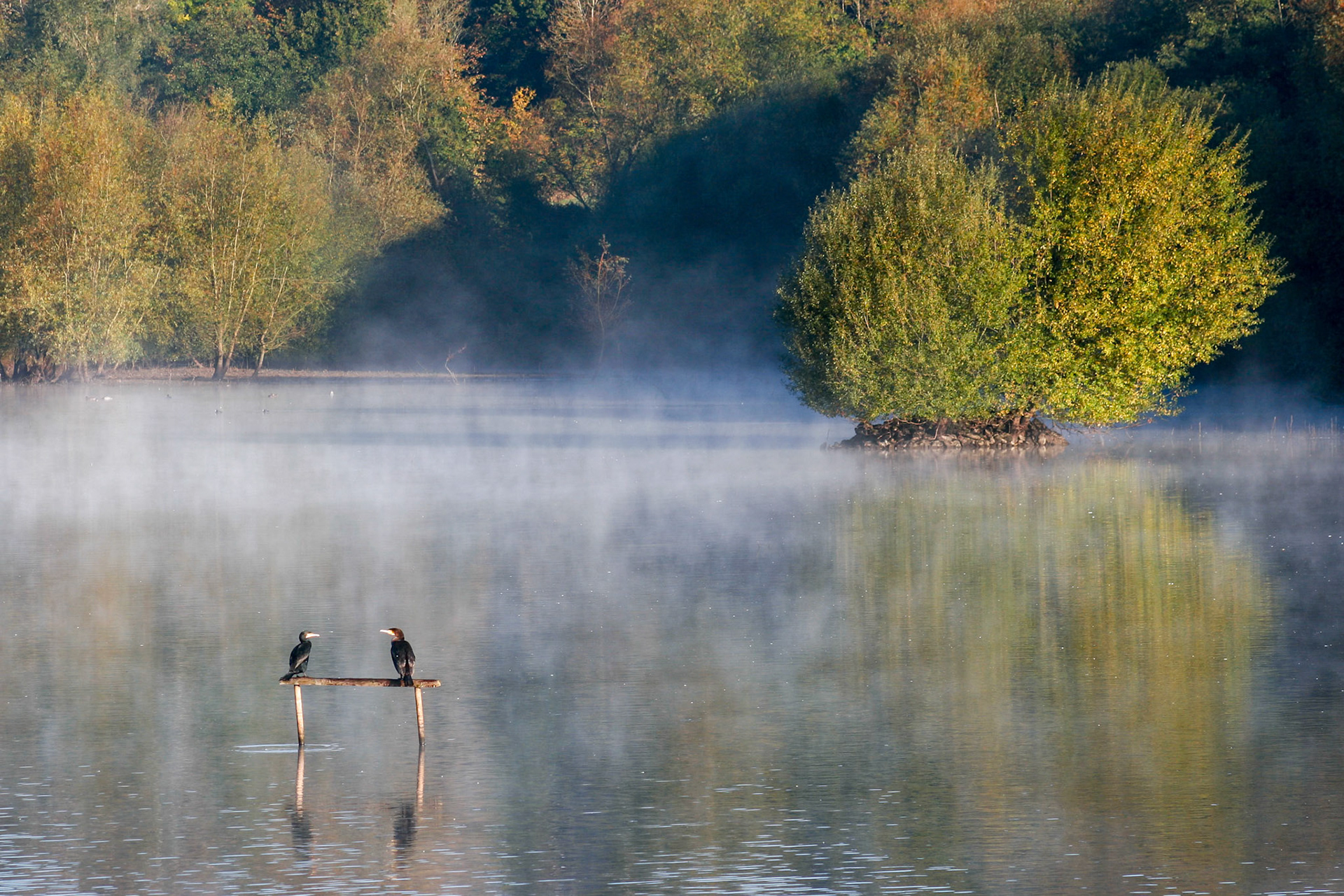 Early Morning at Weir Wood Reservoir