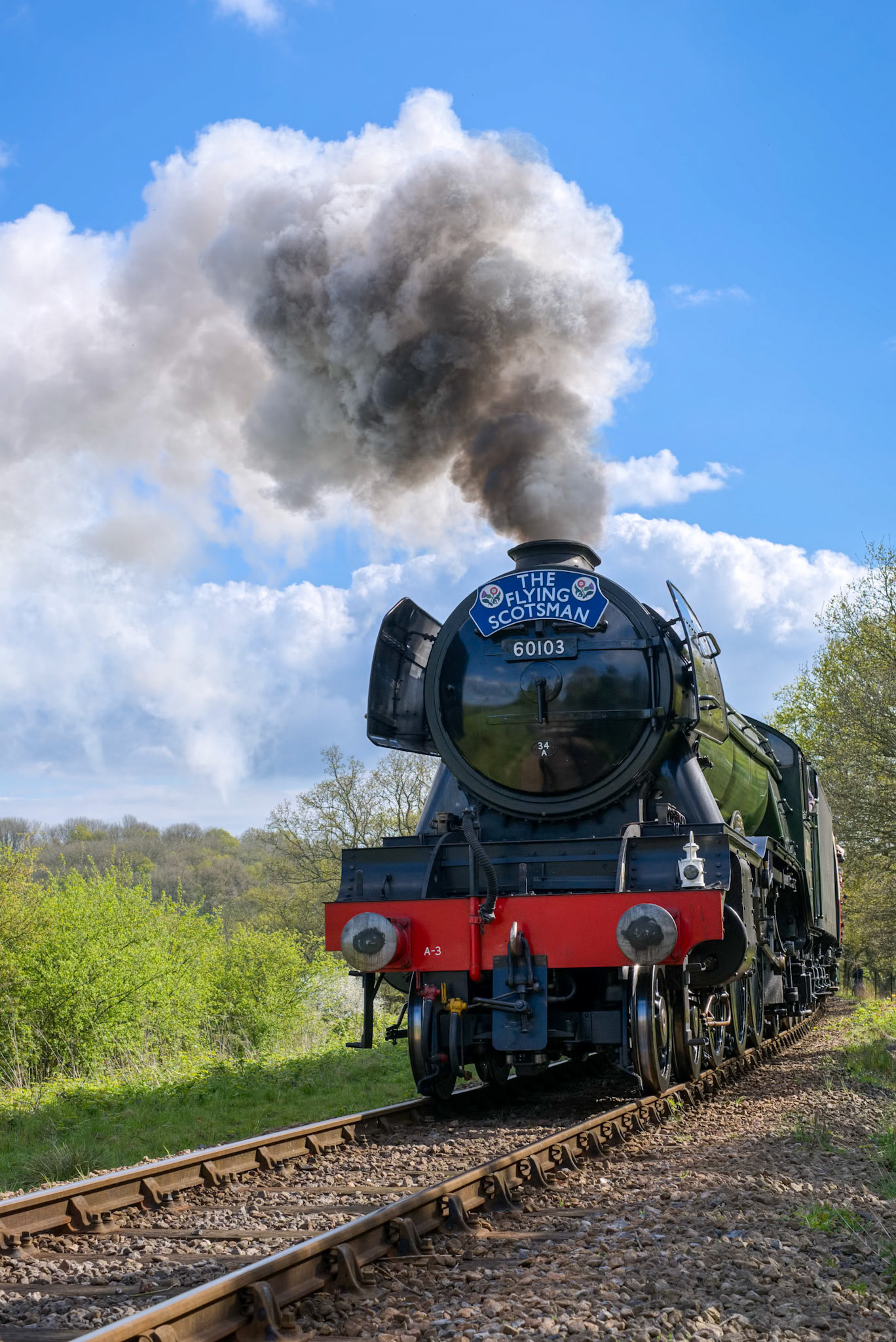 Flying Scotsman on the Bluebell Line