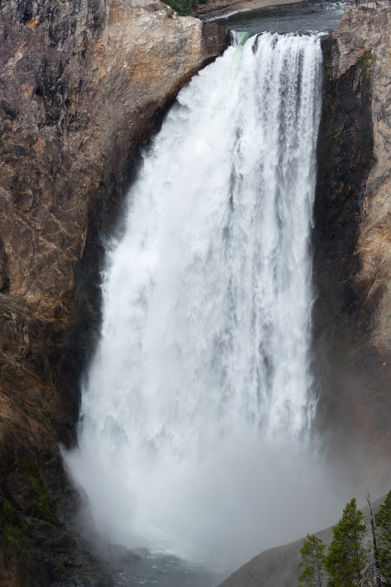 Lower Yellowstone Falls