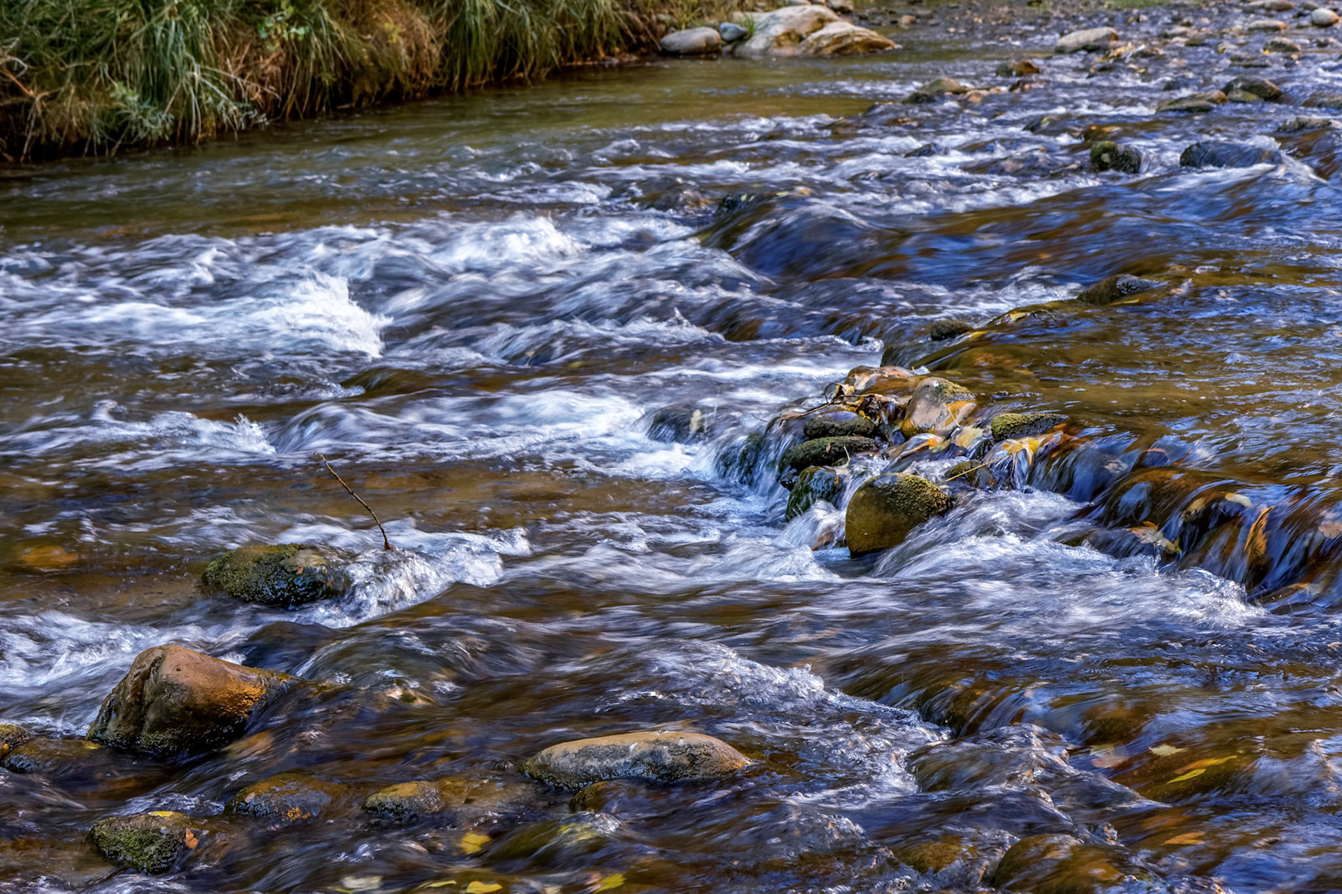Rapids along the Virgin River