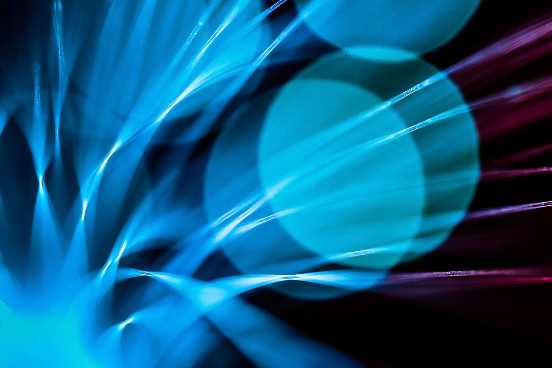 Fibre Optic Abstract