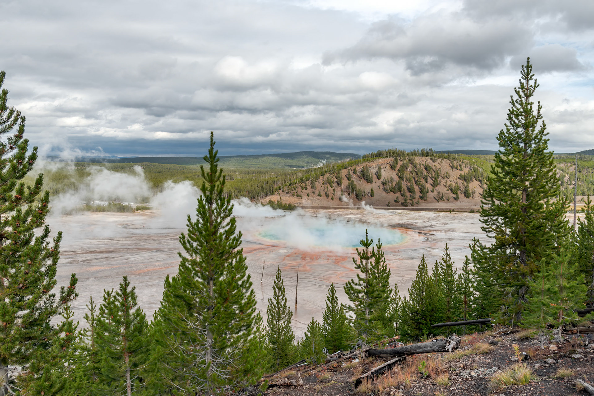 View of the Grand Prismatic Spring in Yellowstone
