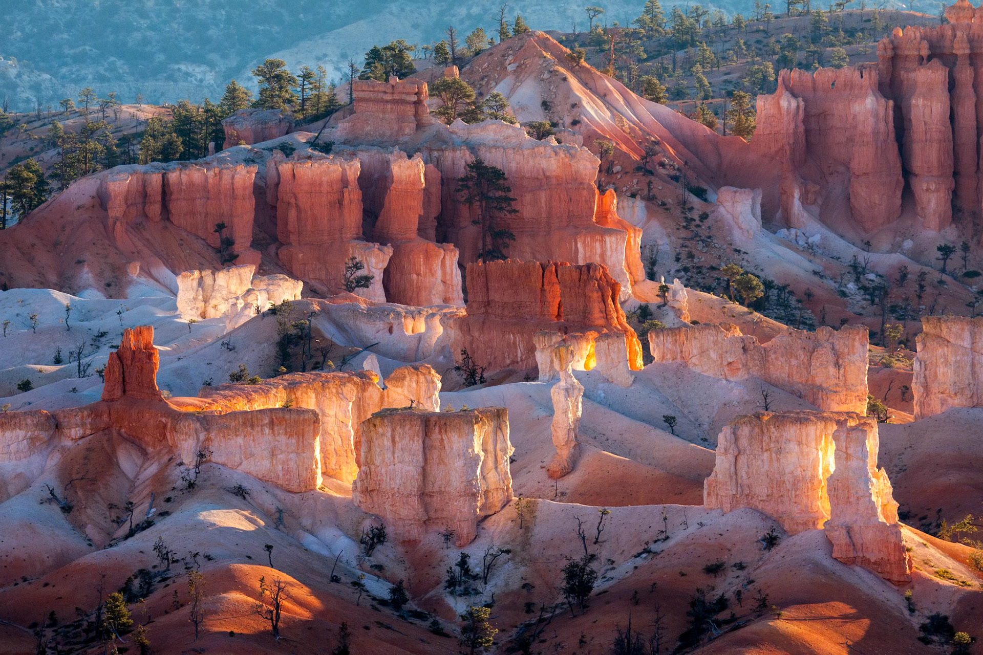 Scenic View of Bryce Canyon