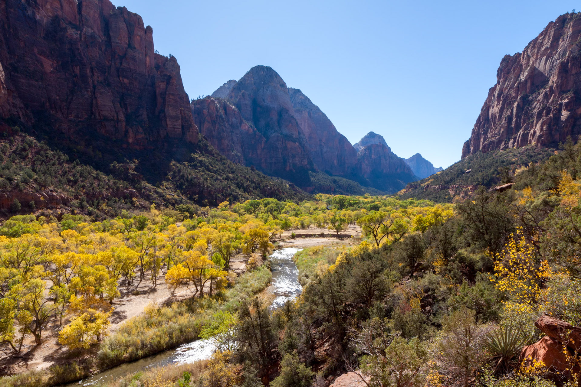Virgin River Valley in Zion National Park