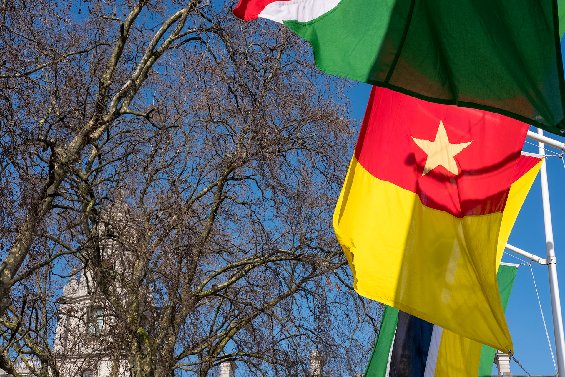 Flags Flying in Parliament Square