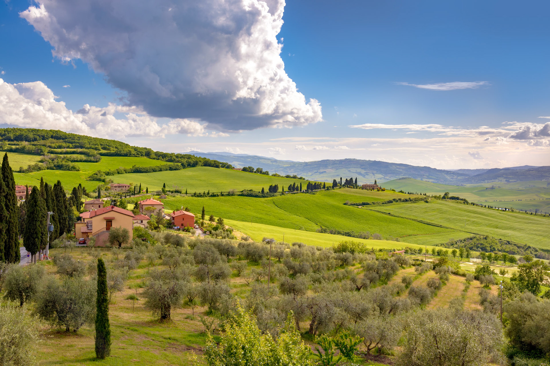 VAL D'ORCIA, TUSCANY, ITALY - MAY 19 : Farmland in Val d'Orcia Tuscany on May 19, 2013