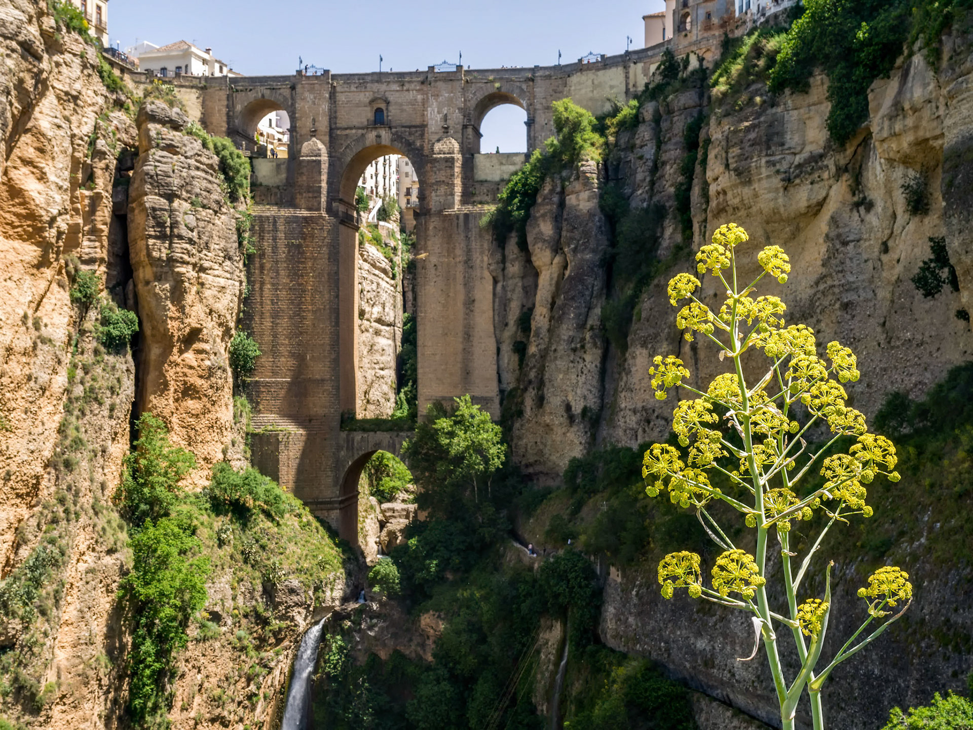 View of the New Bridge in Ronda