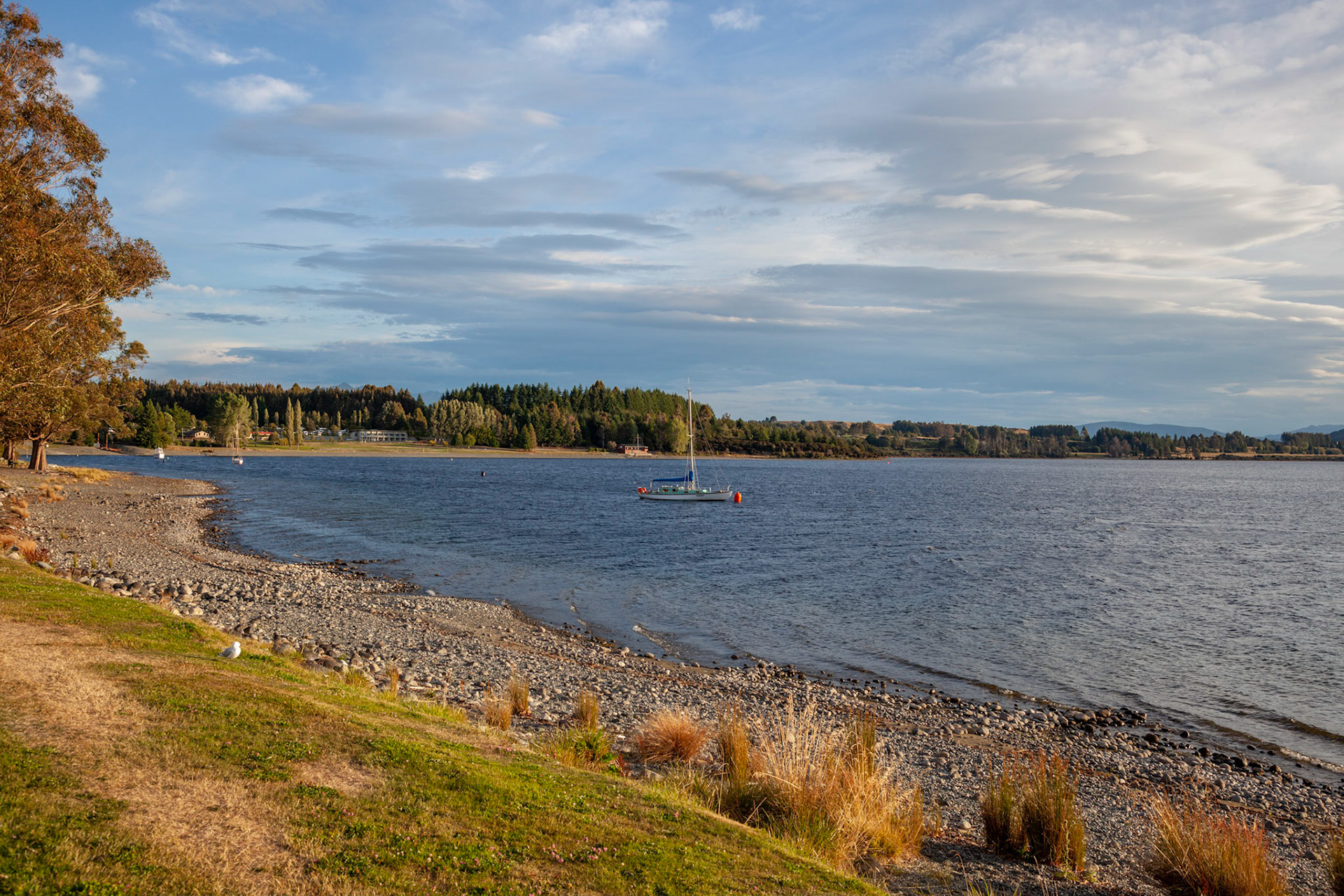 TE ANAU, FIORDLAND, NEW ZEALAND - FEBRUARY 17 : Golden evening light on Lake Te Anau, Fiordland, New Zealand on February 17, 2012