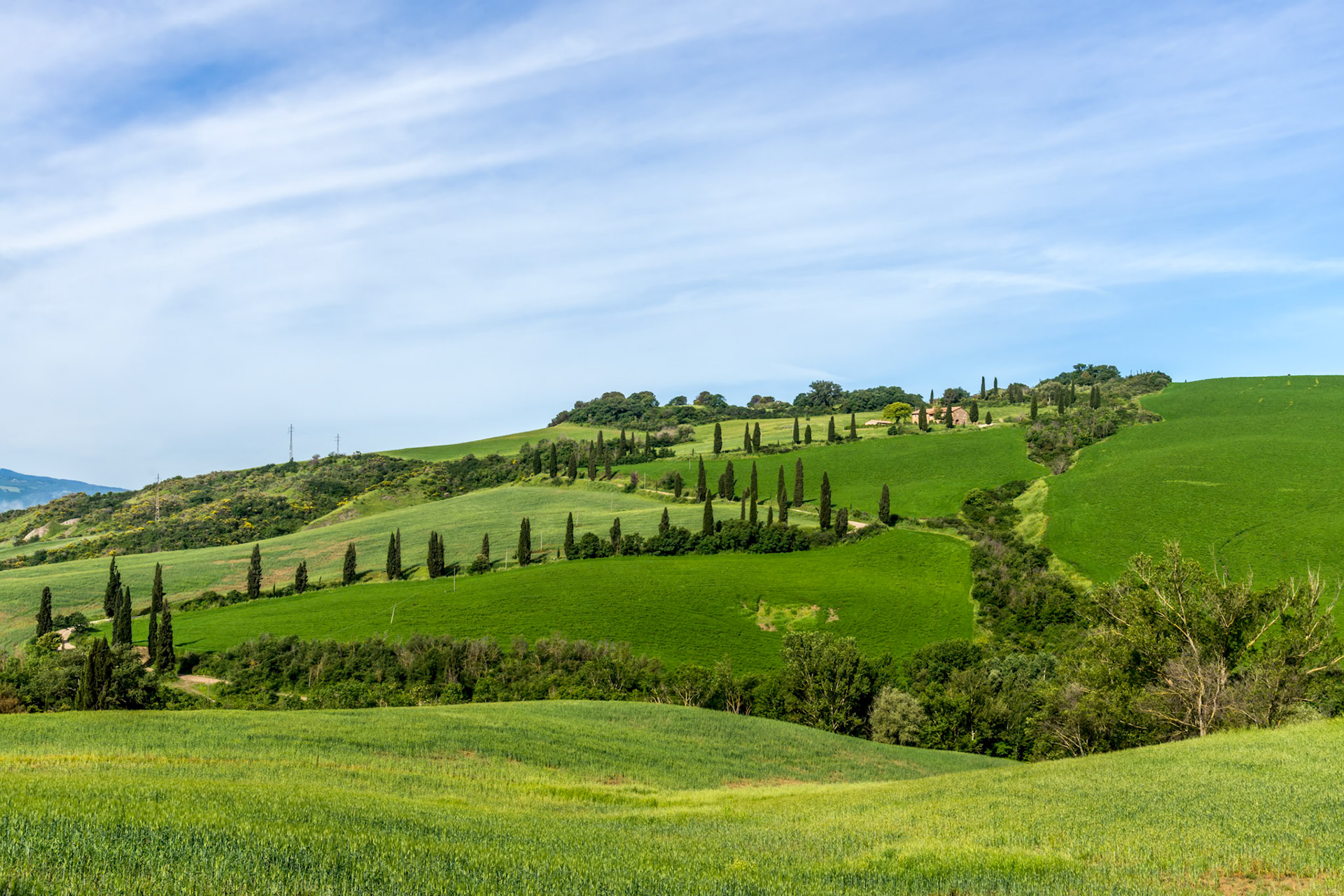Scenery Val d'Orcia Tuscany