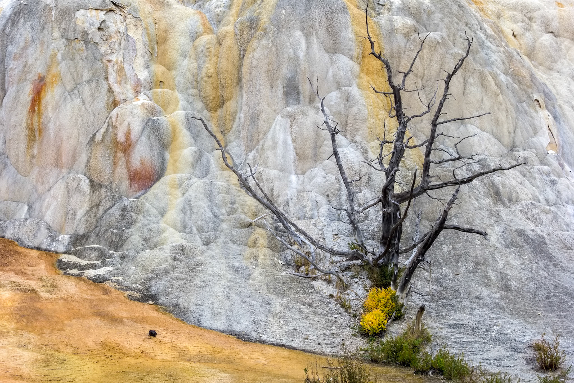 Mammoth Hot Springs