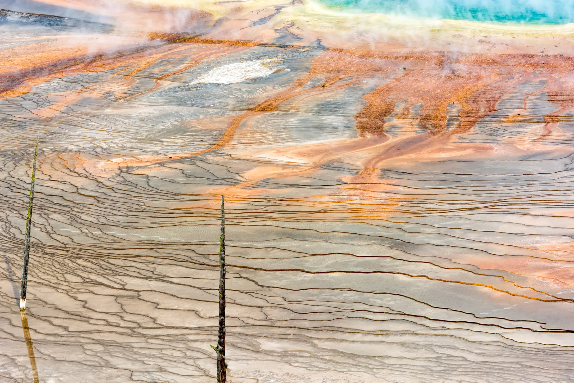 Grand Prismatic Spring