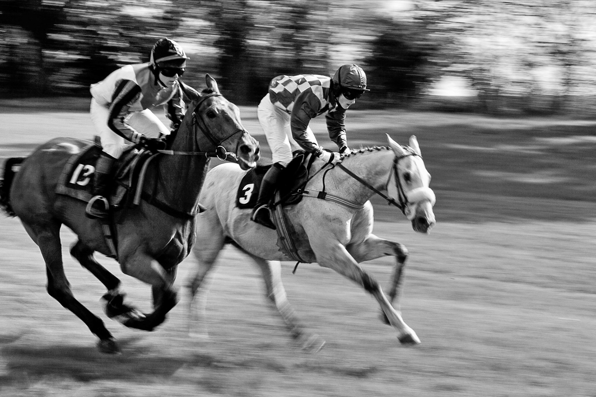 Point to Point Racing at Godstone